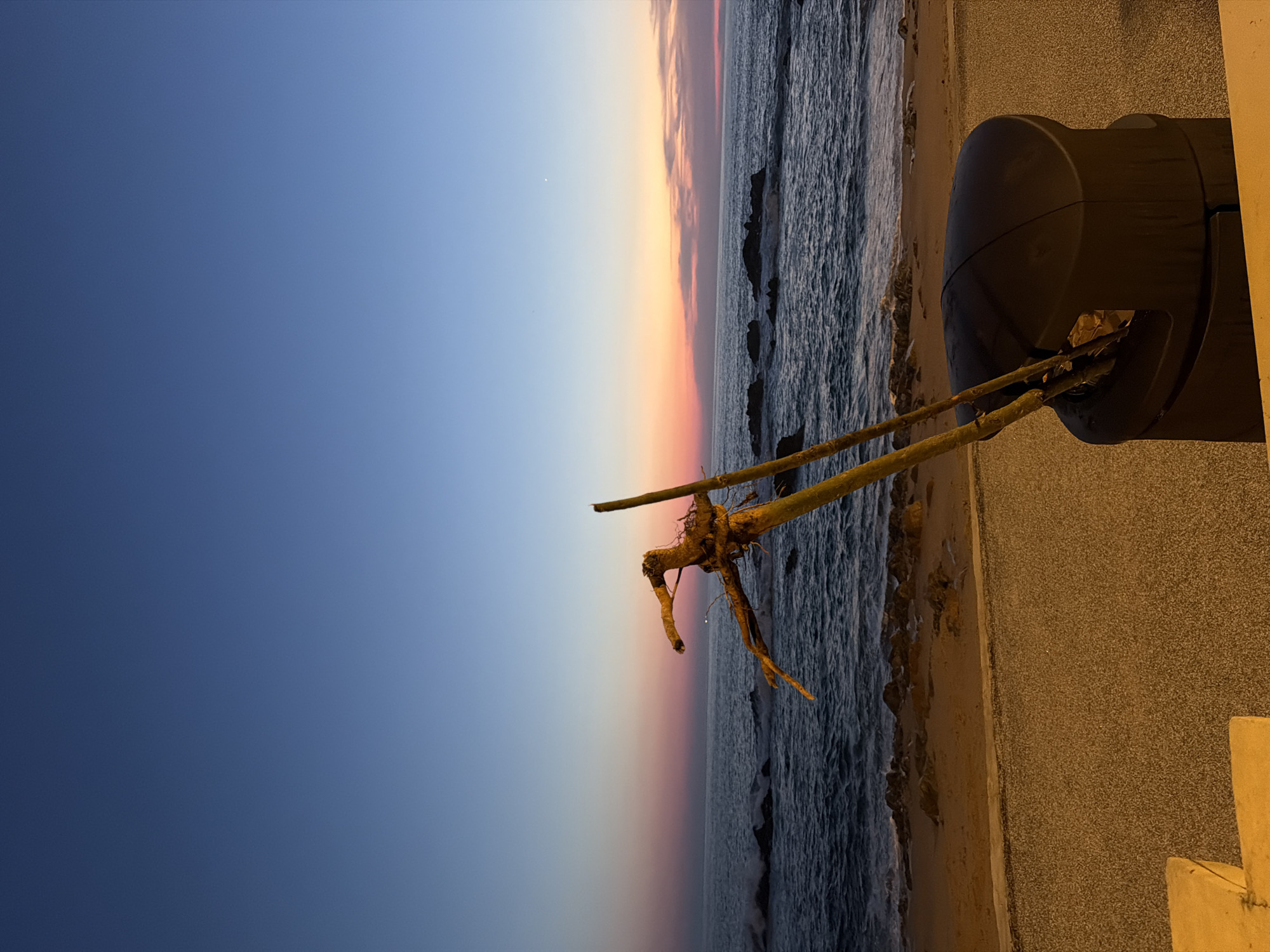 The image displays a coastal scene in Porto, Portugal, during the late stages of sunset or early dusk. The sky presents a gradient, transitioning from a deep blue at the top to lighter blue, then to prominent pink and orange hues near the horizon. A faint crescent moon is discernible in the upper right portion of the sky. The dark blue-grey Atlantic Ocean exhibits moderate wave activity, with whitecaps breaking against numerous dark rock formations situated both in the water and along the narrow, sandy shoreline. A light-brown, textured paved promenade runs across the mid-ground. In the immediate foreground, a dark-colored, possibly black, outdoor waste bin is positioned on the right side. From its top opening, two long, light-brown wooden branches or sticks protrude vertically; one features a complex, gnarled root-like structure at its upper end. A yellow concrete structure is partially visible on the far left. No individuals or human activity are present in the frame.