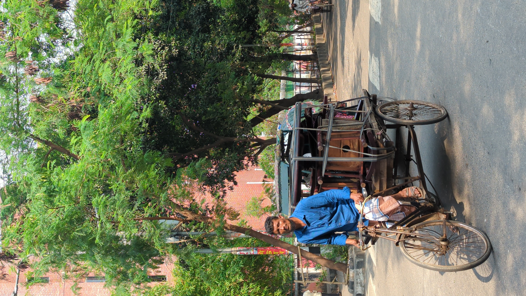 A man in a blue shirt is seated on a rickshaw and is viewed from the side at street level. He is tan-skinned, has short, dark hair and a beard. He is wearing a tan-and-white plaid wrap. The rickshaw is constructed of wood and metal and has a large boxy storage space in the rear. The road is paved and the photo is taken in Dhaka, Bangladesh. The shadows of the trees and objects are seen on the surface. A line of trees is on the left side of the road, and a brick building is visible behind the trees. Another rickshaw is partially visible in the background, along with a metal fence line.