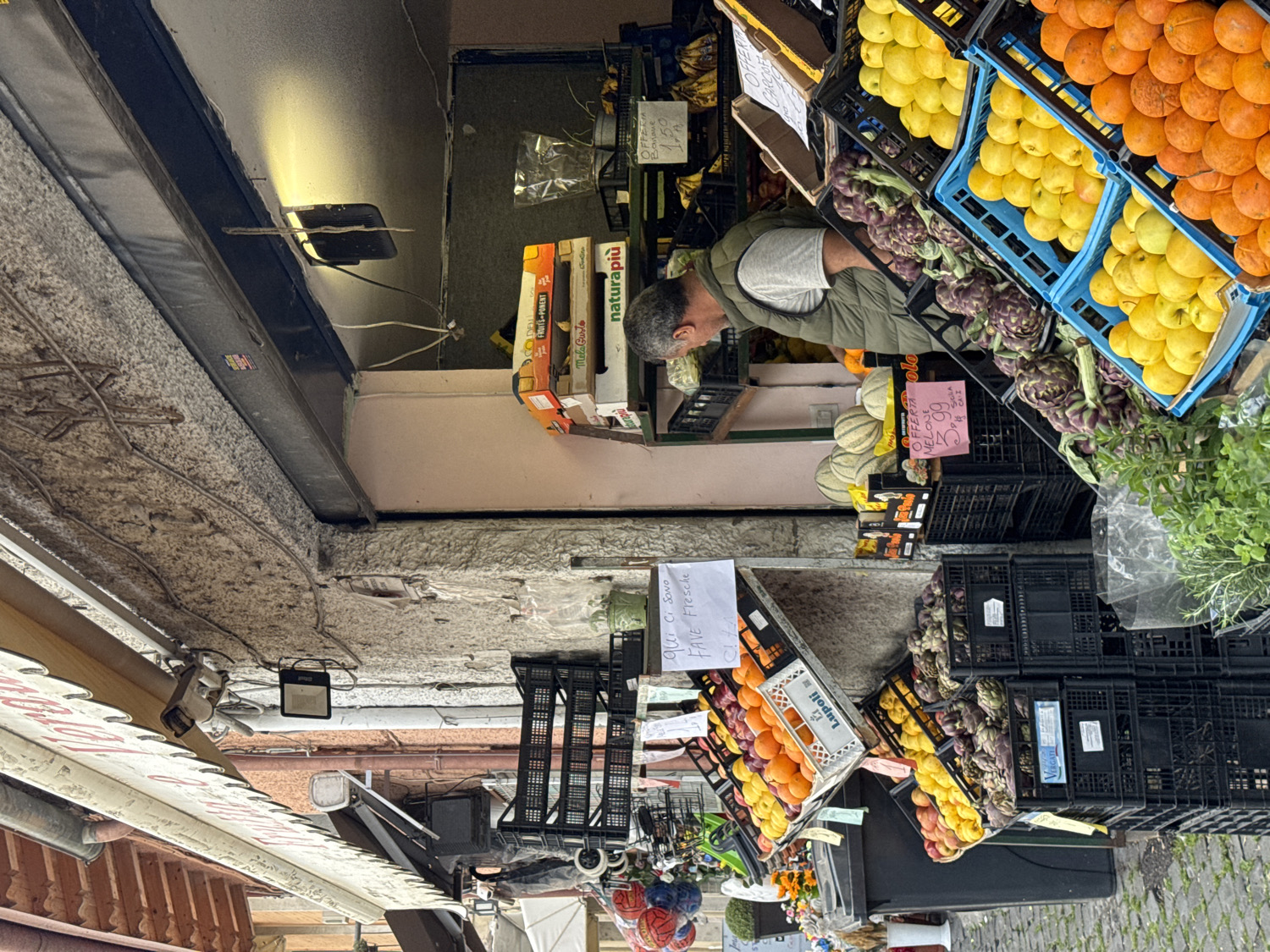 This media file captures a vibrant outdoor fruit and vegetable stall in Ariccia, Italy, filled with fresh produce. A male shopkeeper, with short grey hair and a beard, wearing a grey t-shirt and an olive green vest, is seen tending to the items, appearing focused on his work.
The stall prominently displays a wide assortment of fruits and vegetables in various black and blue plastic crates, as well as cardboard boxes. Bright orange oranges, yellow lemons, and green apples are stacked in neat rows. Large, purple artichokes are arranged in black crates, alongside sizable green striped melons. Other unspecified fruits are also visible in crates, suggesting a rich selection. A small bunch of fresh green herbs, possibly basil, is packaged in plastic on the far right.
The setting appears to be a street-side market or shop entrance, with a canopy or awning overhead. An artificial light fixture casts a warm glow, indicating it might be an interior space or a covered stall, potentially during daytime. Electrical wiring is visible along the overhead structure.
Several signs and boxes feature visible text, offering insights into the products and pricing: "Lupoli" is seen on one crate. A white sign states "qui CI SONO FAVE Fresche" (here are fresh broad beans). A pink sign advertises "OFFERTA MELONE 3.99" (melon offer 3.99), with "SIGLA" and "CAI" also partially visible. Cardboard boxes display "FRUITS-PONENT", "Mela Gusto" (Apple Taste), and "naturapiù" (nature plus). Another sign indicates "OFFERTA Banane 1.50" (banana offer 1.50). The scene is bustling with fresh goods, characteristic of a local Italian market.