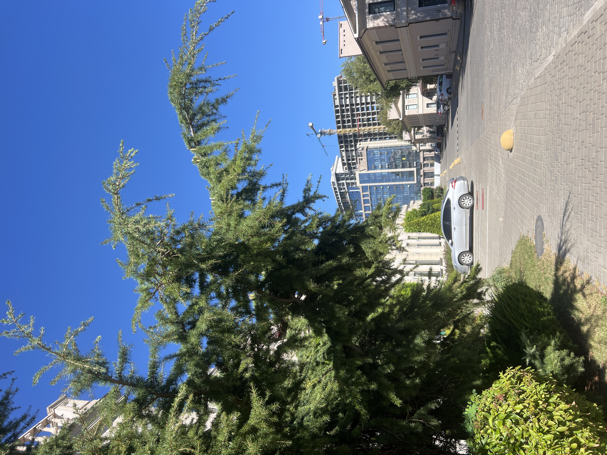 The image depicts a street scene in Fontanka, Ukraine, under a clear blue sky. In the foreground, a large evergreen tree with dense foliage partially obscures the view of a light-colored building to the left. To the right, a paved parking area with patterned cobblestones is visible, marked with yellow bollards and parking lines. A silver sedan is parked in the lot. Further down the street, several modern buildings, some under construction with visible cranes, rise against the skyline. To the right of the newer construction, a lighter-colored, older building with arched windows is situated. The overall environment suggests a mixed urban development area with both older and newer architectural styles. No people are present in the frame.