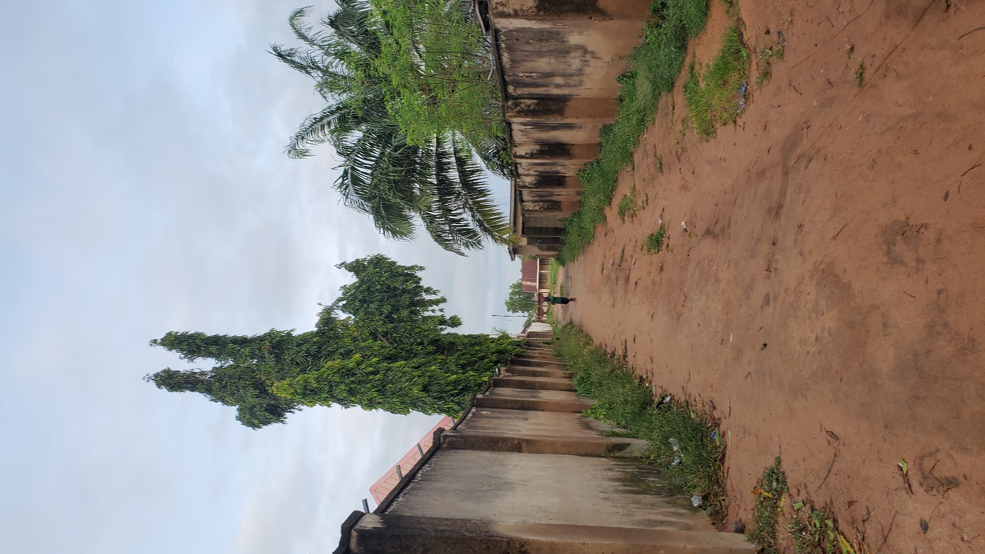 The image depicts a dirt road lined with concrete walls on either side. A lone person, appearing to be a child, walks away from the camera down the road. Lush green trees, including a tall, distinctively shaped tree on the left and palm trees on the right, flank the road and extend beyond the walls. The sky is overcast with light clouds. Buildings with visible rooftops can be seen in the background. The overall impression is of a residential or semi-urban environment.