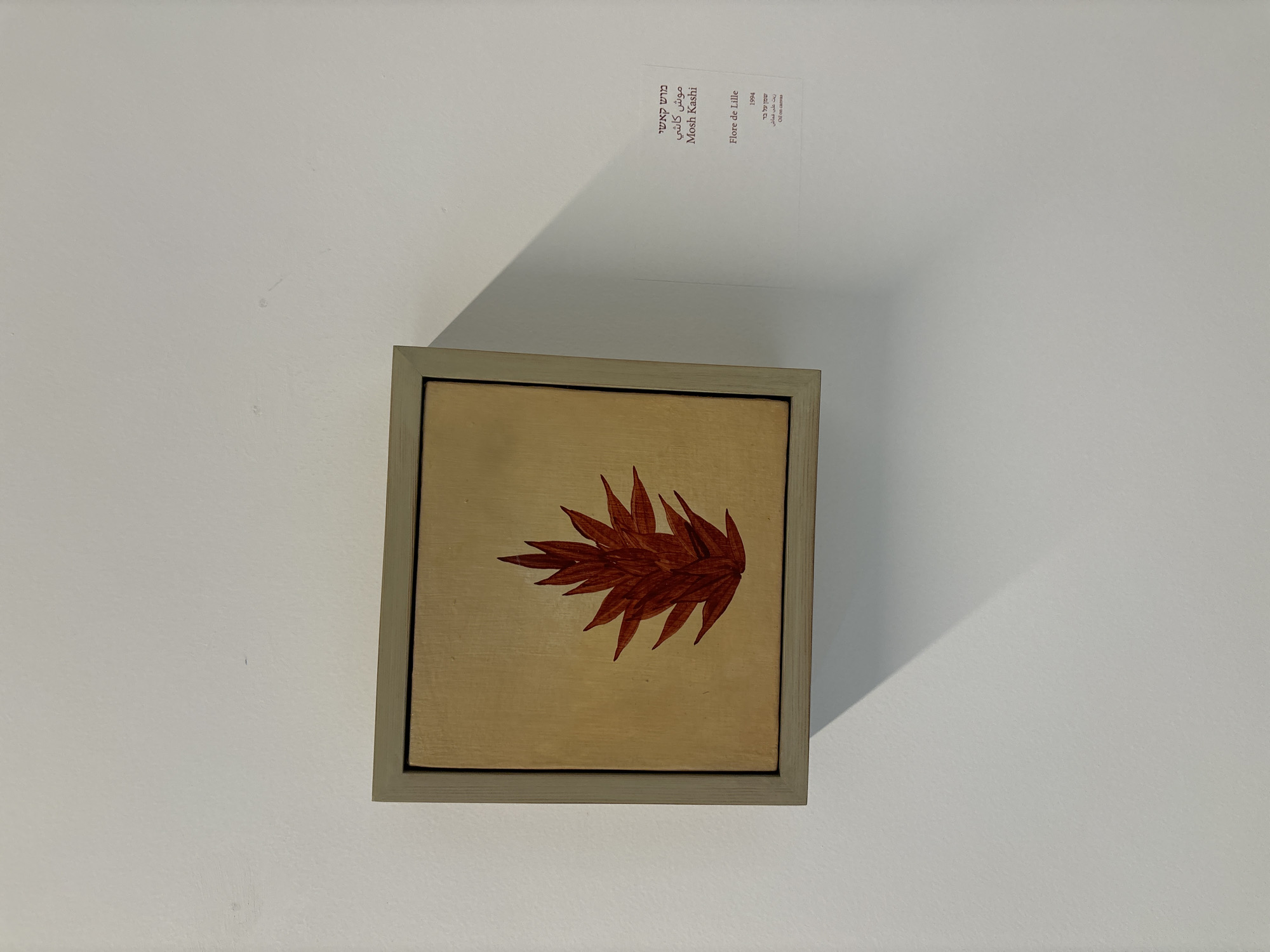 A framed painting of a red, spiky floral form is displayed on a white wall. The painting is rendered on a light brown background and is housed in a pale gray frame. To the right of the painting, a label on the wall provides information in Hebrew and English. The Hebrew text at the top translates to "Mosh Kashi," followed by "Mosh Kashi" in English script. Below this, the title "Flore de Lille" appears in English, followed by the year "1994" and the medium "Oil on canvas" in both Hebrew and English. The overall scene suggests an art exhibition setting.