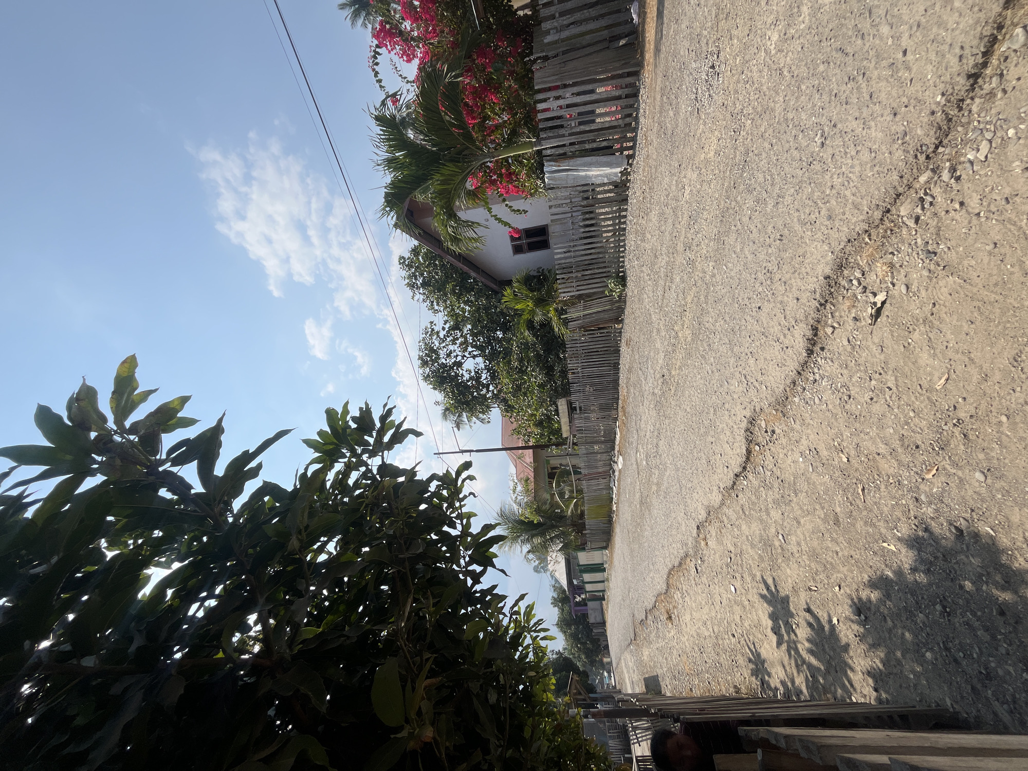 A dirt road stretches through a rural village in Wayipa, Indonesia, lined by a wooden fence and trees. On the right side of the road, a white house with a red roof is visible, partially obscured by lush green foliage and vibrant pink flowers. A palm tree stands in front of the house, and beyond it, more trees and houses can be seen. The sky above is a clear blue with scattered white clouds. The road itself is unpaved and appears worn, with small stones and patches of dry grass. The sunlight casts shadows of leaves on the road, indicating a bright, sunny day. On the left side of the image, a portion of a wooden fence encloses an area with a seated figure, partially visible. The overall scene depicts a peaceful, sun-drenched day in a tropical village.