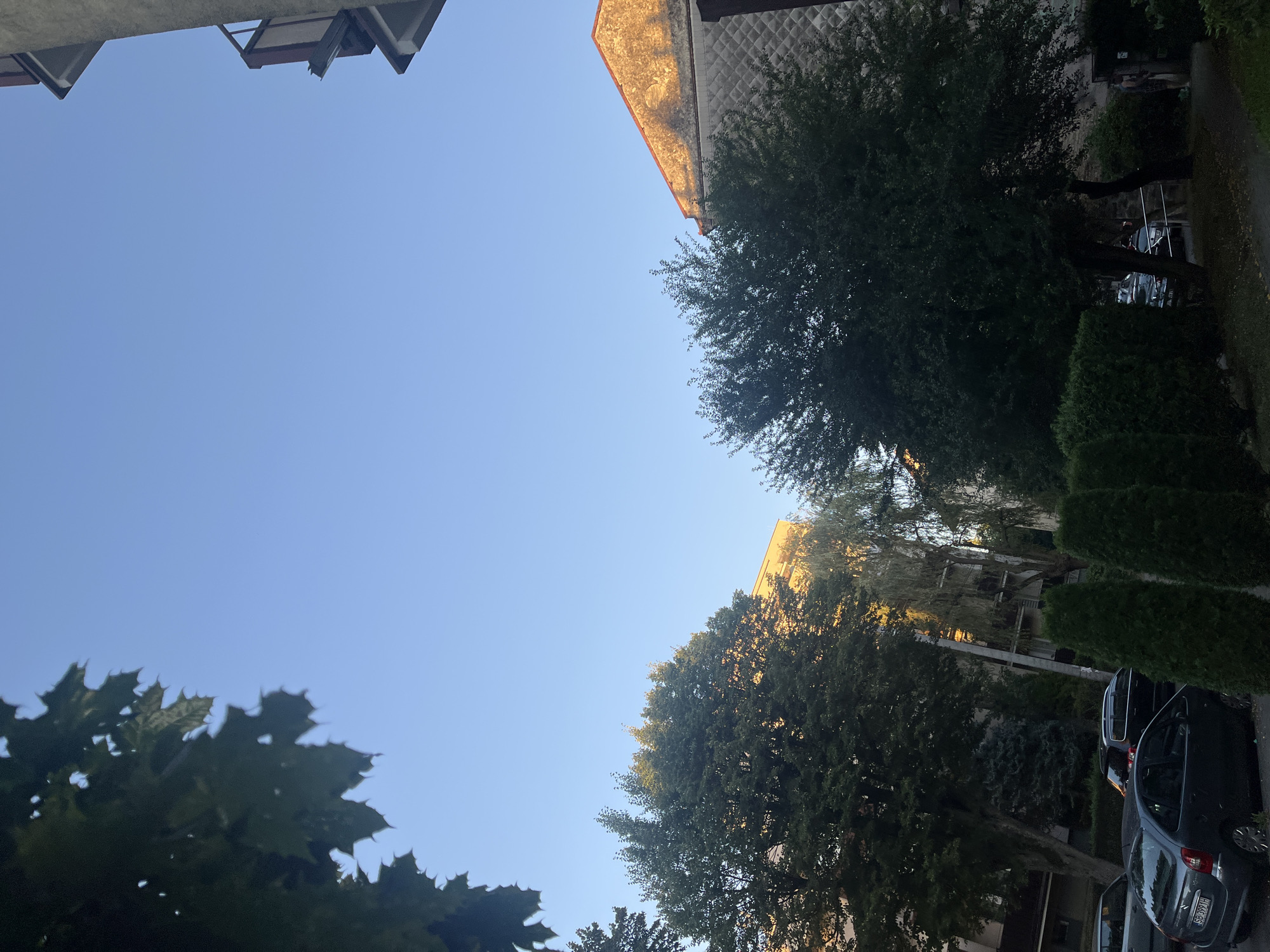 The image shows an outdoor scene with a clear blue sky dominating the upper portion. On the left side, the edge of dark green leaves from a tree frames the sky. In the middle ground, several trees with dense green foliage are visible. Behind the trees, buildings can be seen. One building on the right has a light-colored facade with a triangular roof section illuminated by sunlight. On the left, a taller, lighter-colored building is partially visible. In the foreground, along the bottom of the image, there are several dark green, cone-shaped evergreen bushes and a paved walkway. Several cars are parked on the right side of the walkway. One car in the foreground is dark grey with a license plate that reads "SB 3991H". A person is partially visible in the far right background near a doorway. The scene appears to be a residential area within a city.
