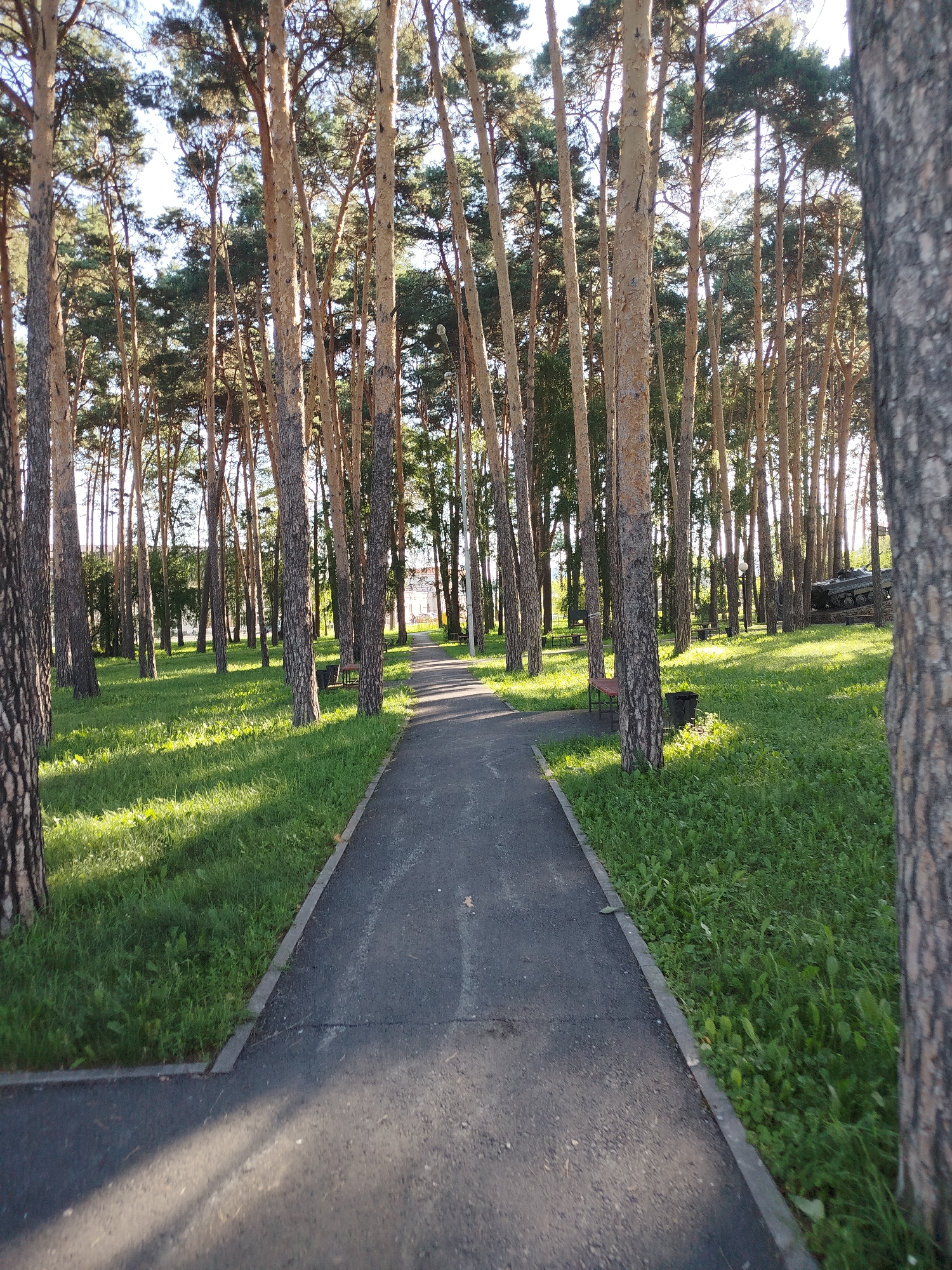 The image shows a paved pathway winding through a park lined with tall pine trees. Sunlight filters through the trees, casting long shadows on the grassy ground and the pathway. There are a few benches and trash cans along the side of the pathway. In the background, a military tank is visible on a raised platform, suggesting this may be a memorial or a display. The environment appears to be a public park or green space in Zavodoukovsk, Russia.