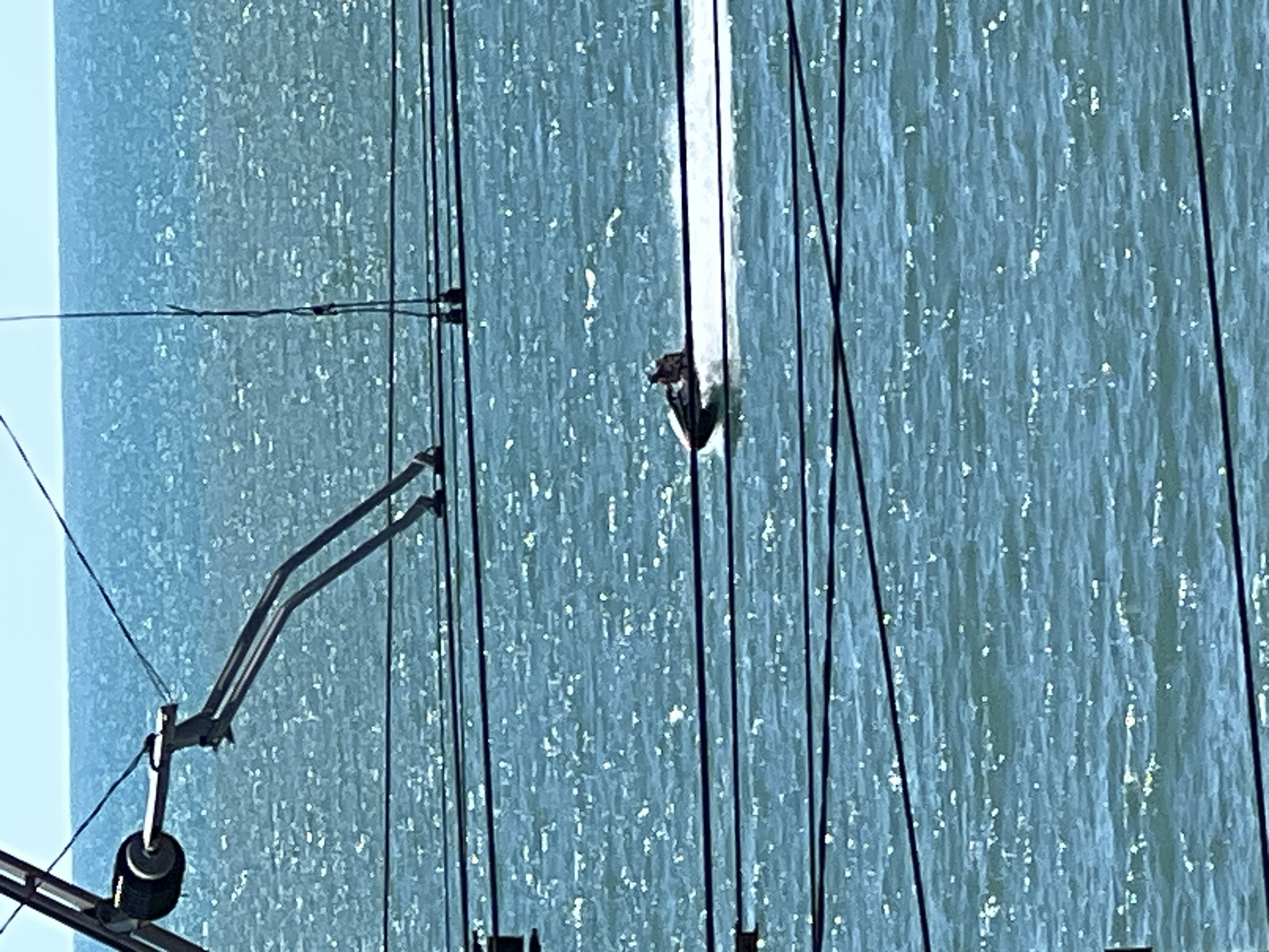 The image shows a jet ski rider on the water in Sochi, Russia. The rider is positioned on a black jet ski, which is creating a white wake as it moves across the choppy, blue water. Several dark wires are visible in the foreground, running horizontally across the frame and partially obscuring the view of the water. In the upper left portion of the image, part of a metal structure, possibly part of a crane or a boat, is visible. The sky is a clear, light blue. The overall scene depicts a recreational activity taking place on a sunny day in a coastal environment.