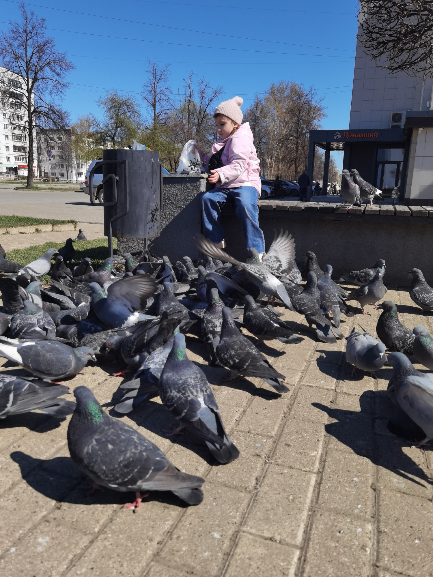A young girl wearing a pink jacket and a knit hat sits on a low wall in a city square, surrounded by pigeons. The square is paved with rectangular stones. The girl holds a white plastic bag, apparently feeding the pigeons. Buildings, including a multi-story apartment building and a building with "Домашний" (meaning "Home" in Russian) signage, are visible in the background. There is a trash receptacle next to the wall where the girl is sitting. Bare trees indicate it is likely spring. The image was taken in Chaikovsky, Russia.
