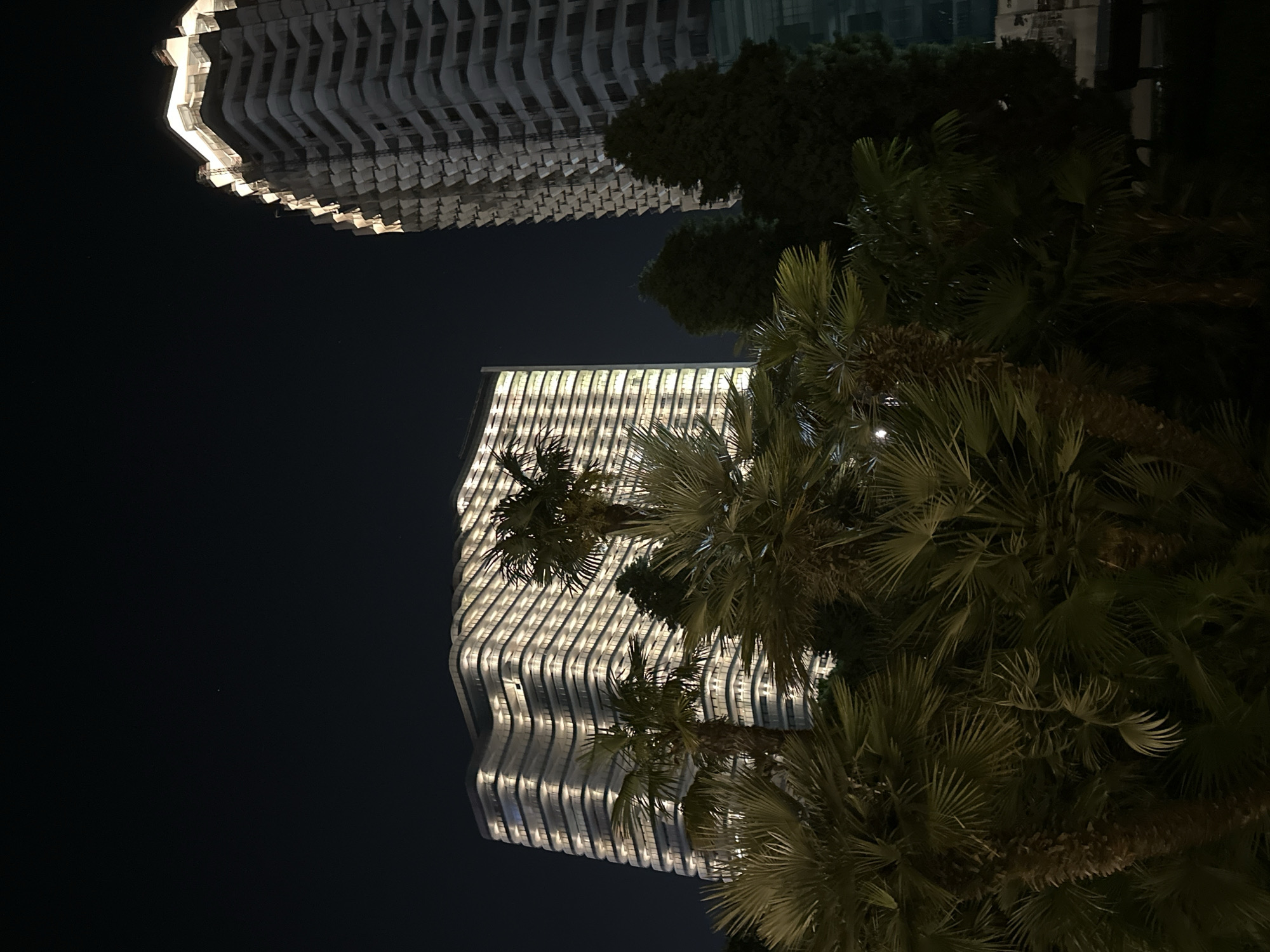 The image depicts a nighttime scene in Sochi, Russia, likely along the coast or in a resort area, showcasing modern architecture and lush vegetation. In the foreground, the fronds of several palm trees, some with visible trunks, dominate the lower portion of the frame. Behind the palm trees, two distinct buildings stand tall against the dark night sky. The building on the left is a large, multi-story structure with a distinctive wave-like facade, illuminated from within by numerous lights that create a striking visual pattern. The building on the right is taller and appears to be under construction or has a facade that mimics scaffolding, with its upper floors prominently lit, highlighting its angular and layered design. The overall atmosphere is one of urban development intertwined with tropical or subtropical landscaping. The sky is dark and clear, with a few faint stars visible.