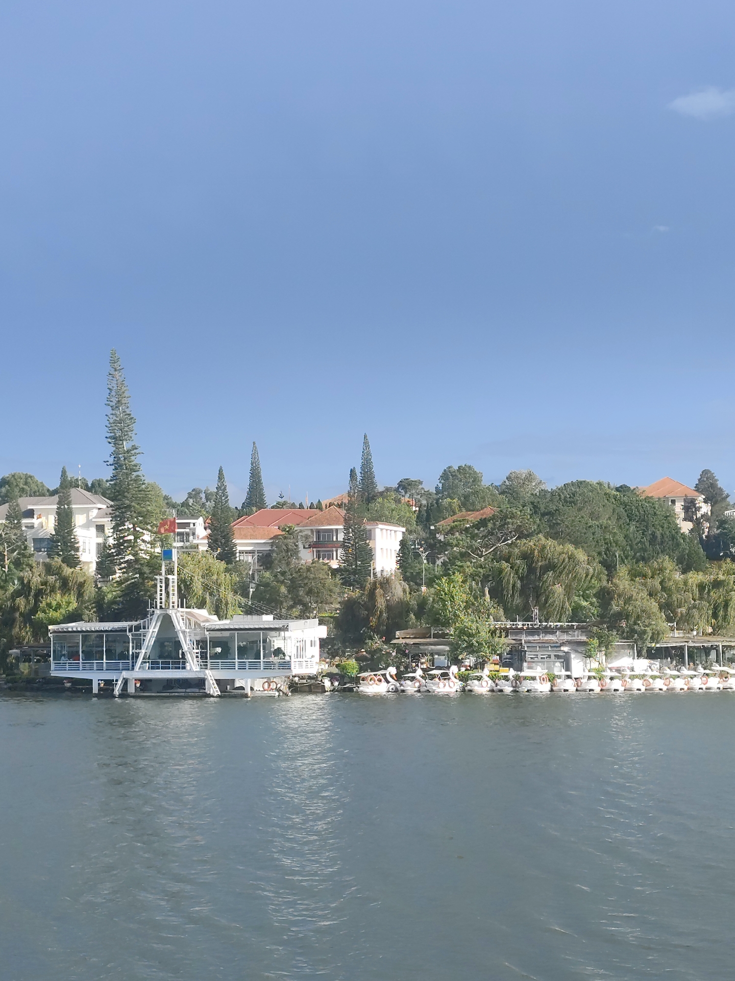 This is a photograph taken from a body of water, likely a lake, looking towards a shoreline on a clear, sunny day. The shoreline is lined with lush green trees and a variety of buildings.
In the foreground, the water is calm and reflects the light, with subtle ripples. Along the edge of the water, there is a white building with a modern, angular design, featuring large glass windows that allow views into the interior. This building appears to be a restaurant or a cafe, with some patrons visible inside. Several life preservers are hanging on the exterior of this building.
Further back on the shoreline, several houses and other structures are visible, nestled among dense trees. These buildings have a mix of architectural styles, with some featuring red-tiled roofs. Prominent are tall, slender pine trees scattered throughout the landscape.
To the right of the white waterfront building, a line of swan-shaped paddle boats are moored along the shore, suggesting a recreational area. These boats are white and appear to be unoccupied. In the distance, more trees and buildings extend up the gentle slope of the land. The sky is a clear, pale blue, with no clouds visible.
The scene is a picturesque view of a lakeside resort or town area, likely in Da Lat, Vietnam, known for its numerous lakes, pine forests, and French colonial architecture. The overall impression is one of tranquility and natural beauty, with a touch of urban development.