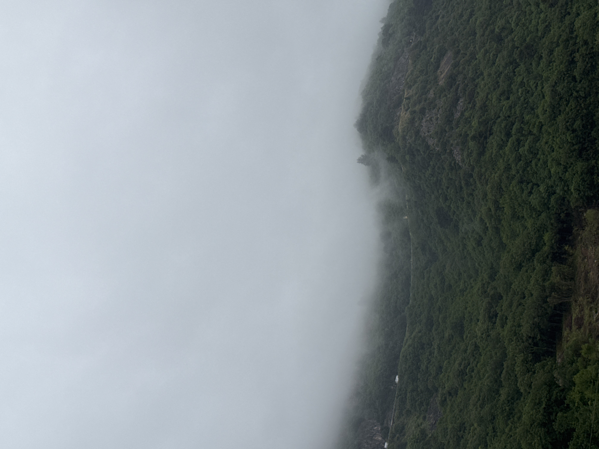 The image shows a mountainside obscured by heavy fog. The vegetation is lush and green, covering the steep terrain. A road winds along the slope, barely visible through the fog, with a few vehicles on it. The location is potentially the Budva area in Montenegro, based on the terrain, vegetation, and climate.