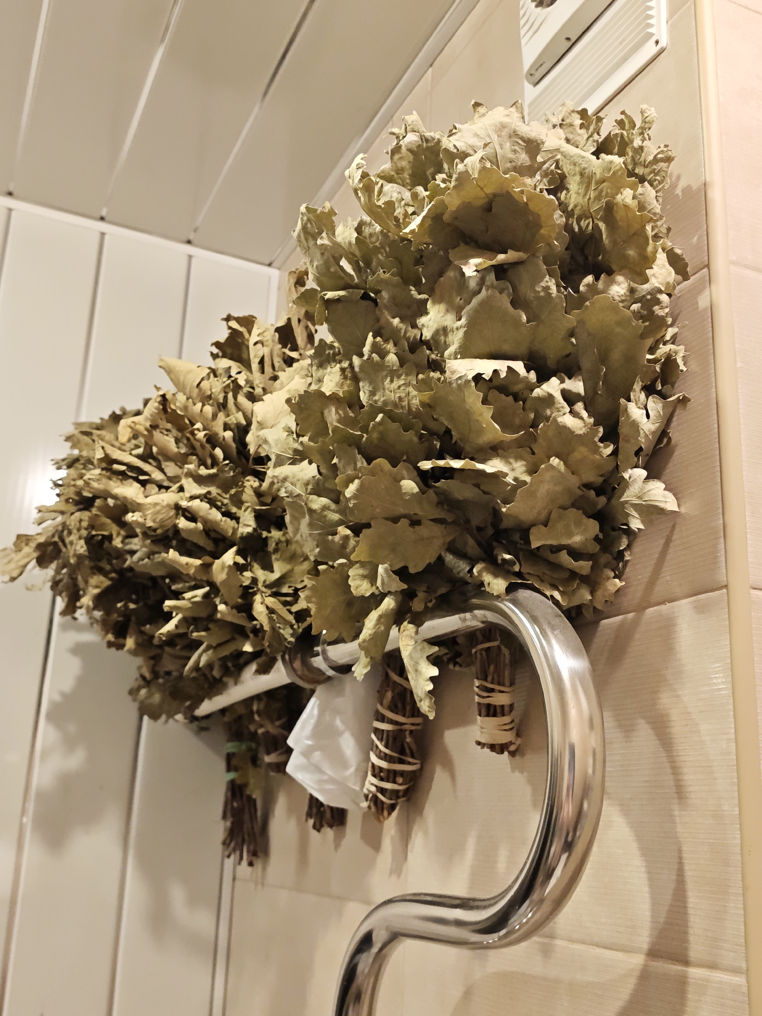 The image shows a close-up of two dried veniks (brooms) made of oak leaves, hanging on a chrome rack mounted on a tiled wall. The veniks are full and bushy, with dried, light-brown leaves. The wall paneling is light-colored and appears to be made of plastic or a similar material. A ventilation grate is visible in the upper right corner. The lighting is warm and slightly diffused. The scene is set in a humid environment, likely a sauna or steam room. No people are visible. The overall impression is one of cleanliness and tradition. The location is in Saint Petersburg, Russia, where veniks are a common accessory in saunas.