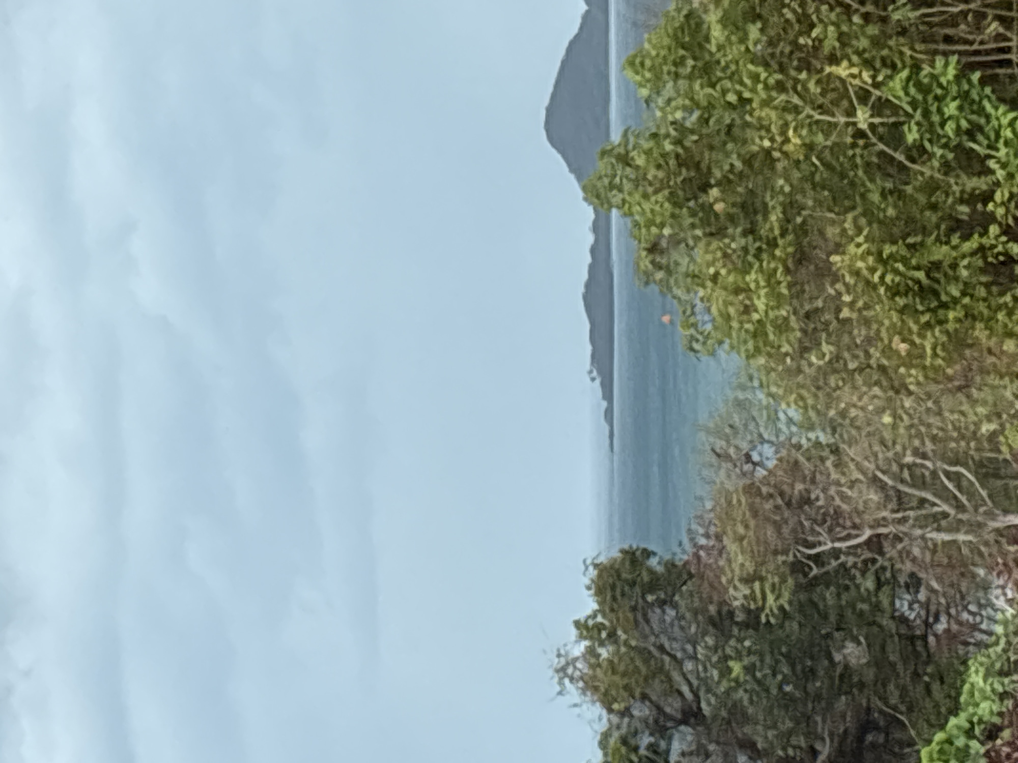 The image presents a coastal scene, likely taken from an elevated position. The sky is overcast, suggesting a cloudy or rainy day. A body of water, presumably the ocean or a bay, is visible with a landmass or island appearing in the distance. Trees and foliage are prominent in the foreground, partially obscuring the view. The overall impression is one of a natural setting, potentially a park or coastal area in Ban Bang Khao, Thailand. The absence of clear landmarks or human activity makes pinpointing the exact location challenging.
