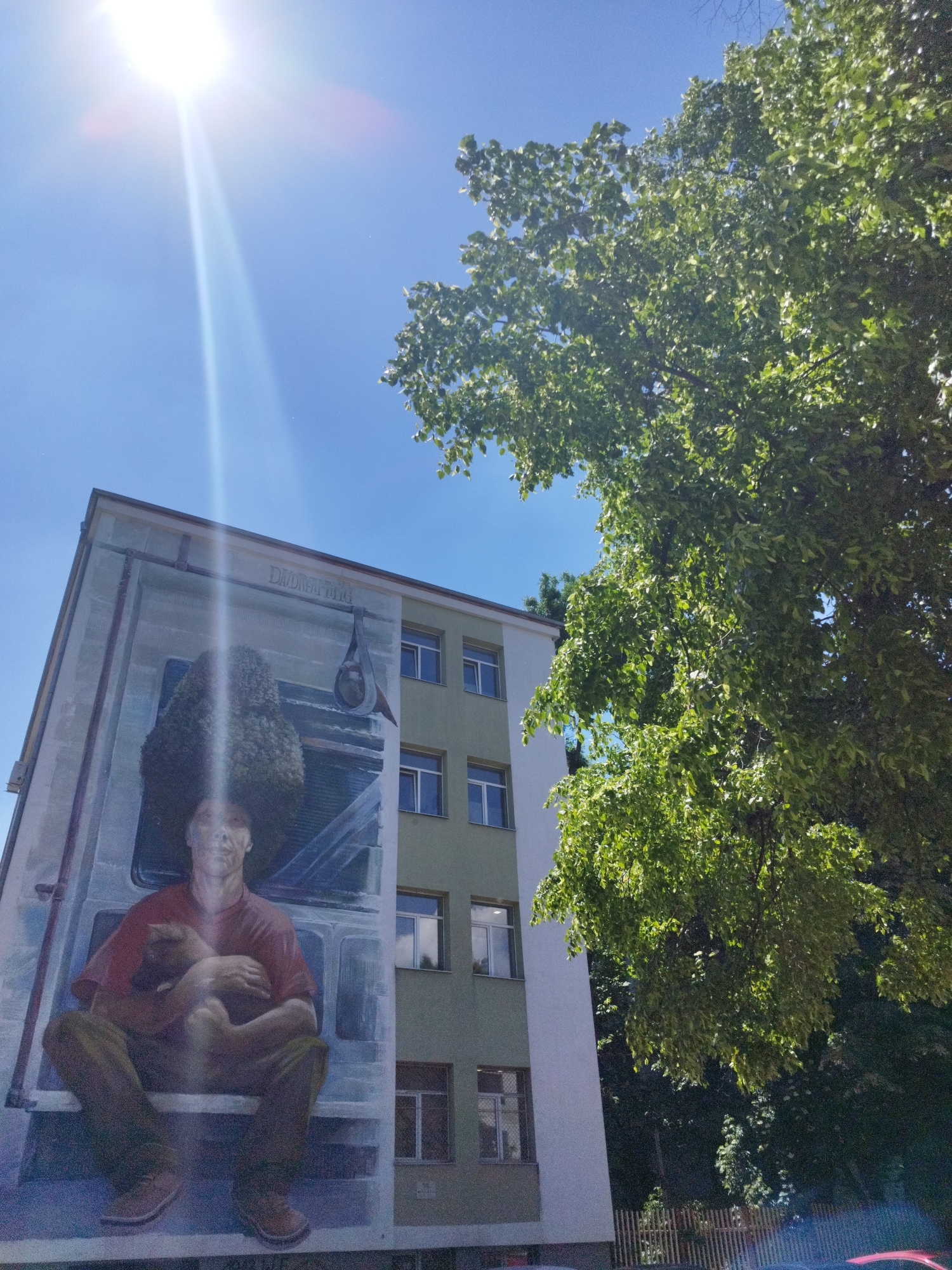 The image is a low-angle shot of the side of a building in Sofia, Bulgaria, on a bright, sunny day. A large mural covers the side of the building, depicting a man with an afro sitting and holding a small animal. The word "DADMOPHILIA" is written above the mural. The building is painted green and white, with multiple windows visible on the right side. A large, leafy tree is positioned to the right of the building, partially obscuring the view. The sun is shining brightly in the upper left corner of the image, creating a strong lens flare.