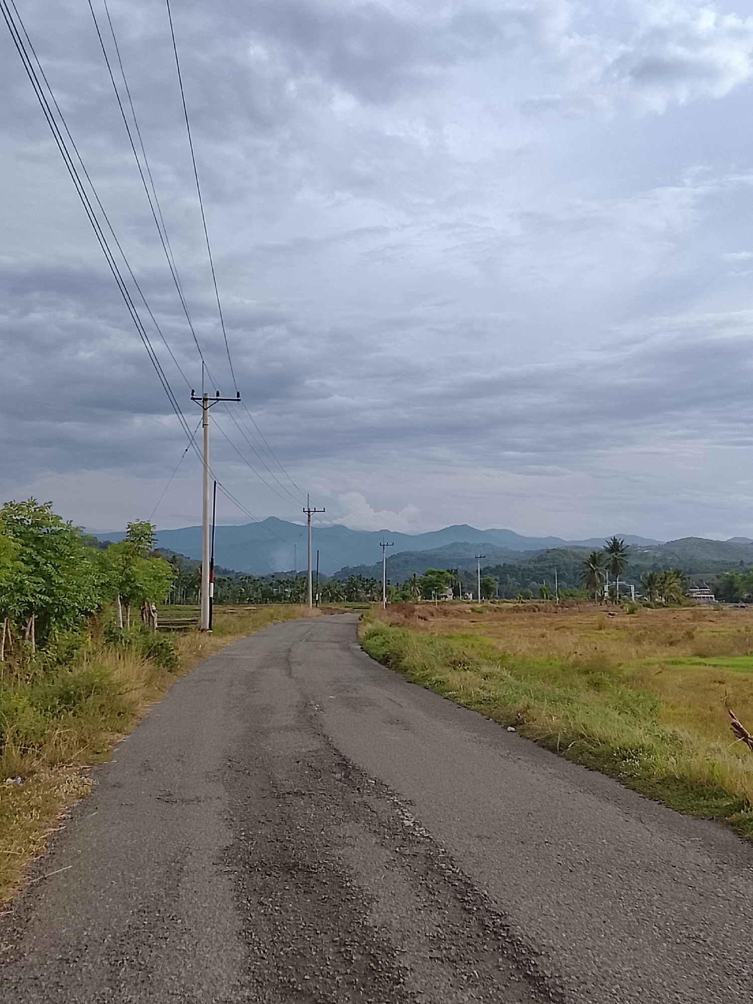 The image depicts a paved, winding rural road in Geunteng, Indonesia, under a cloudy sky. The road is flanked by dry, yellowed grass and vegetation on the right and a small patch of green trees on the left. Several utility poles with power lines run along the left side of the road, disappearing into the distance. In the background, lush green hills form a mountainous horizon, partially obscured by a layer of haze and more clouds. The overall scene is a landscape shot, focusing on the road and the natural environment. There are no people or vehicles visible in the image.