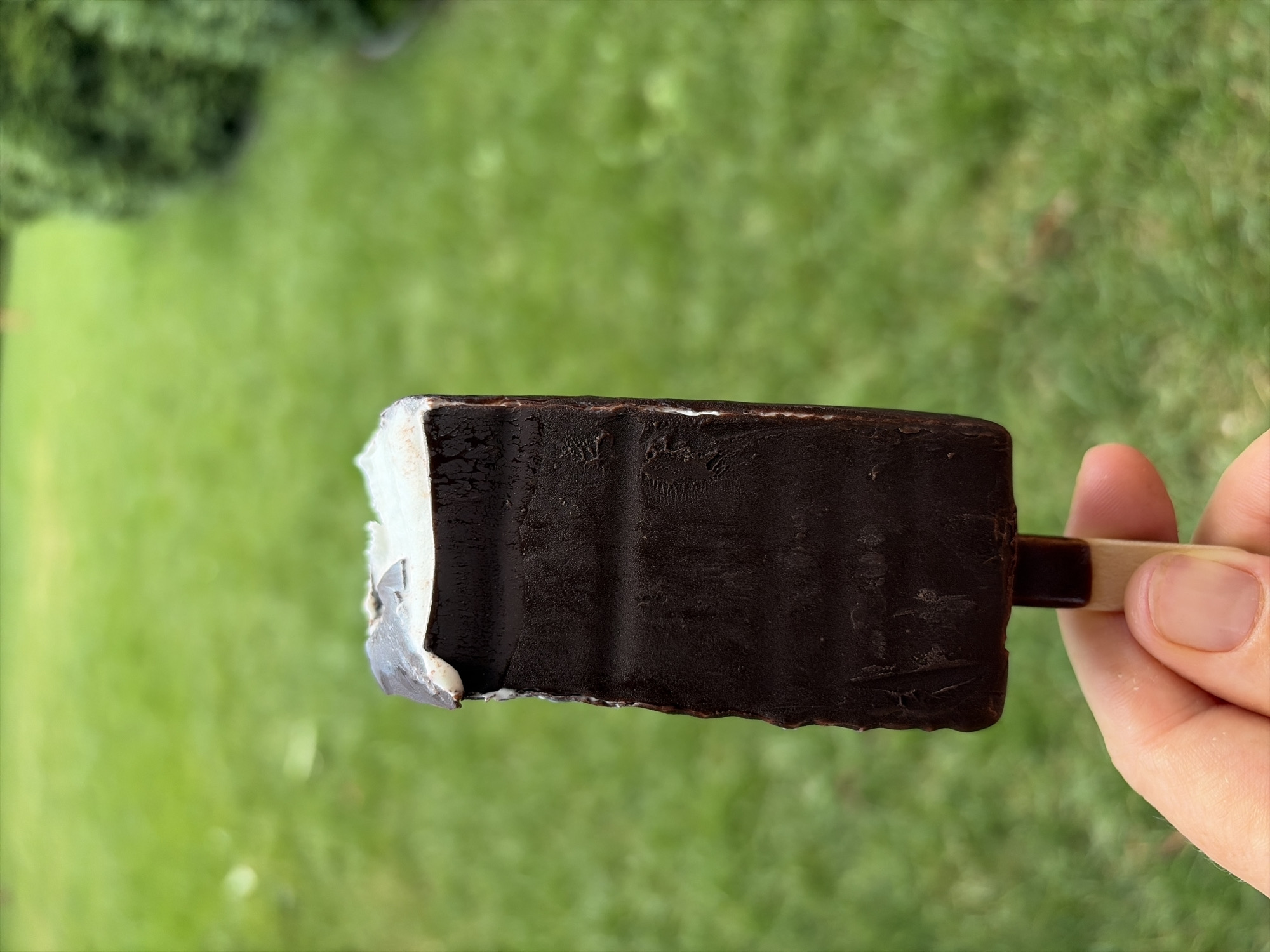 A hand holds a chocolate-covered ice cream bar with a bite taken out of it. The ice cream bar is dark brown and has a white interior visible at the top. The background is a blurred green lawn with some bushes on the right. The image appears to have been taken outdoors.