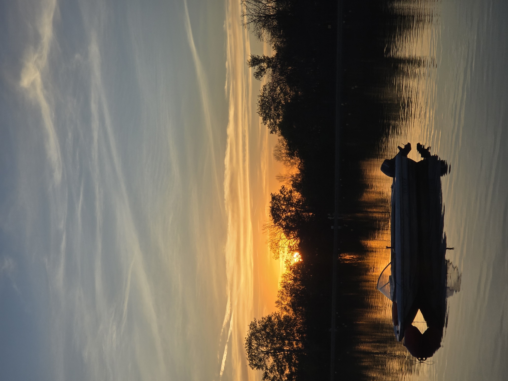 The image captures a serene sunset scene, presented in a vertical orientation. A prominent horizon line, defined by a dense silhouette of trees and foliage, runs vertically through the middle of the frame.
To the left of the tree line, the sky displays a beautiful gradient of colors, transitioning from a soft, light blue on the far left to vibrant oranges and yellows as it approaches the central horizon. Delicate, wispy clouds, possibly cirrus or contrails, streak across this illuminated sky, catching the warm, golden light.
The setting sun is a focal point, appearing as a brilliant orange and yellow glow peeking through and behind the silhouetted tree line. Its intensity suggests the golden hour.
To the right of the trees, a calm body of water stretches across the frame, acting as a mirror. It beautifully reflects the vivid hues of the sky and the intense glow of the sun, creating shimmering vertical streaks on its surface due to subtle ripples.
In the lower right portion of the water, a small boat is visible in silhouette. It appears to be a recreational boat, possibly with a covered or cabin area and a distinct rounded orange or red object, likely a fender or buoy, near its bow. The boat's dark form contrasts sharply with the bright reflections on the water, and its own distorted reflection can be seen below it.
The overall atmosphere is one of tranquility and natural beauty, characteristic of a peaceful sunset over water. There are no people visible, nor is any text present in the image.