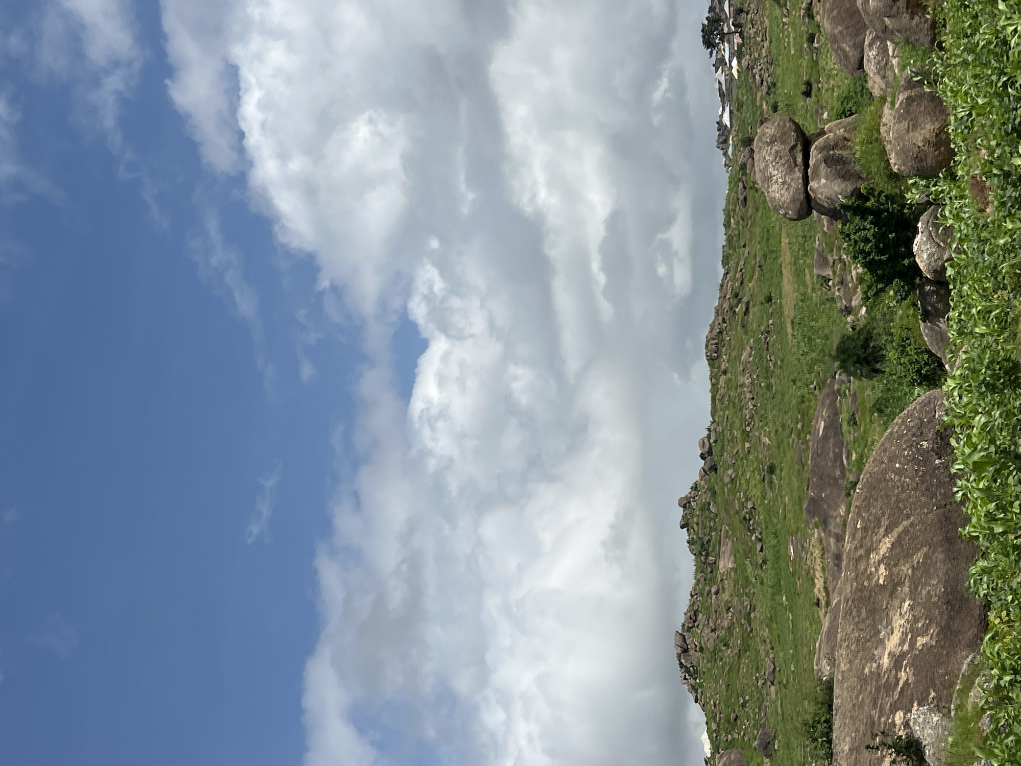 The image depicts a rocky, verdant landscape under a partly cloudy sky. The foreground features large, smooth boulders interspersed with lush green foliage. A rolling hill covered in grass and scattered rocks rises in the mid-ground. In the distance, the crest of the hill is adorned with more rocks and some scattered trees. A small settlement with white-roofed structures and a lone tree is visible on the far right of the hill. This scene is characteristic of the natural beauty found in the environs of Jos, Nigeria, known for its hilly terrain and rock formations. There are no people or animals visible in the image.