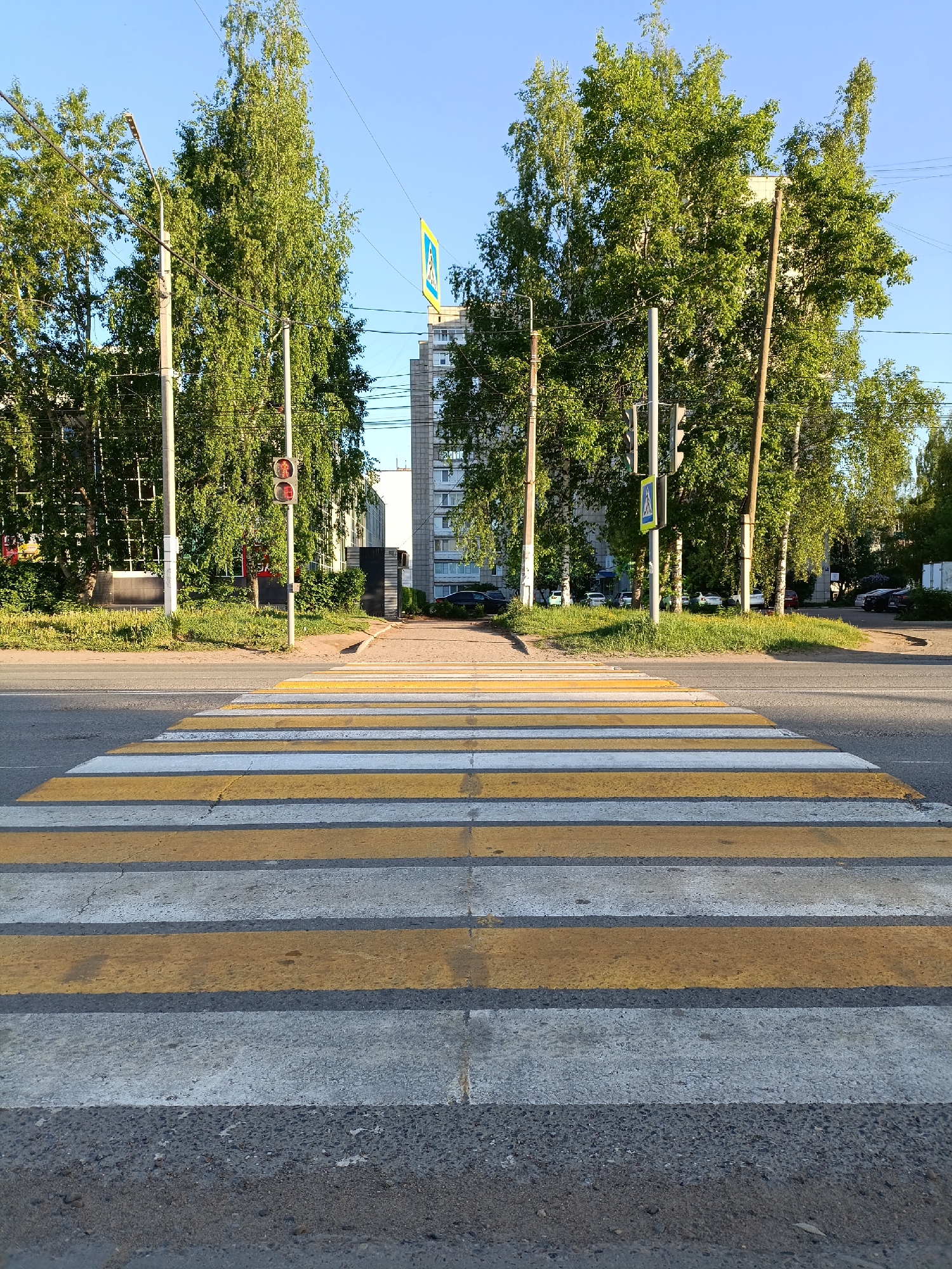 The image shows a pedestrian crosswalk in the city of Chaikovsky, Russia. The crosswalk consists of alternating white and yellow stripes painted on the asphalt road. A traffic light with two red lights illuminated is on the left side of the image. Pedestrian crossing signs are on both sides of the crosswalk. Trees are located on both sides of the road, creating a green canopy. In the background, a building with apartments can be seen. Several parked cars are visible on the right side of the road. The sky is blue and clear.