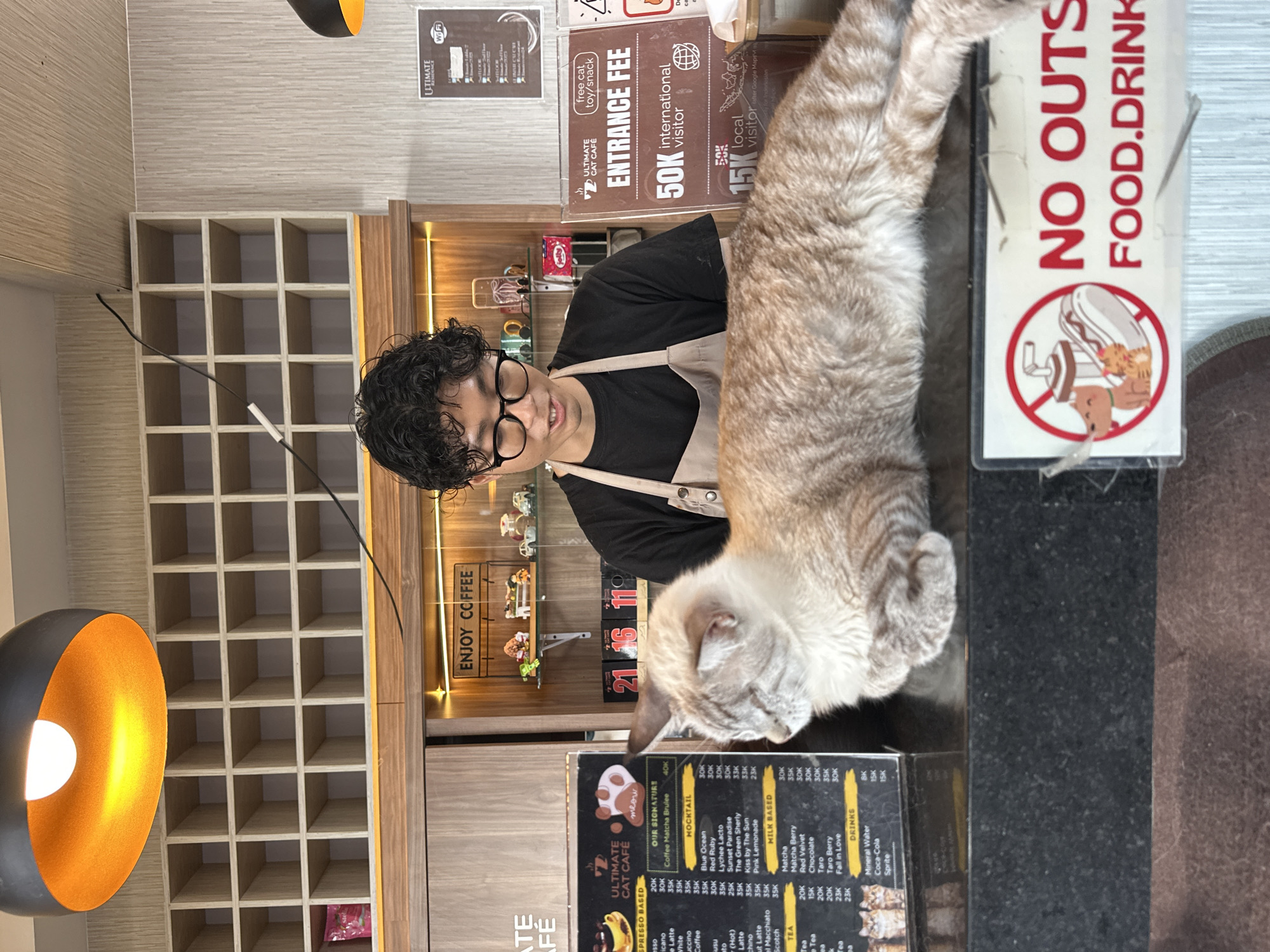 An employee in a black t-shirt and an apron stands behind a counter at a cat cafe. A light brown cat is lying on the counter in front of the employee. A menu is visible to the left of the employee. A sign with "ENJOY COFFEE" is visible behind the employee. The employee is looking at the cat. The environment appears to be a cafe with shelves in the background. A sign that says "NO OUTSIDE FOOD. DRINK." is visible at the bottom of the image. The scene is likely in Denpasar, Indonesia, given the context of the cat cafe.