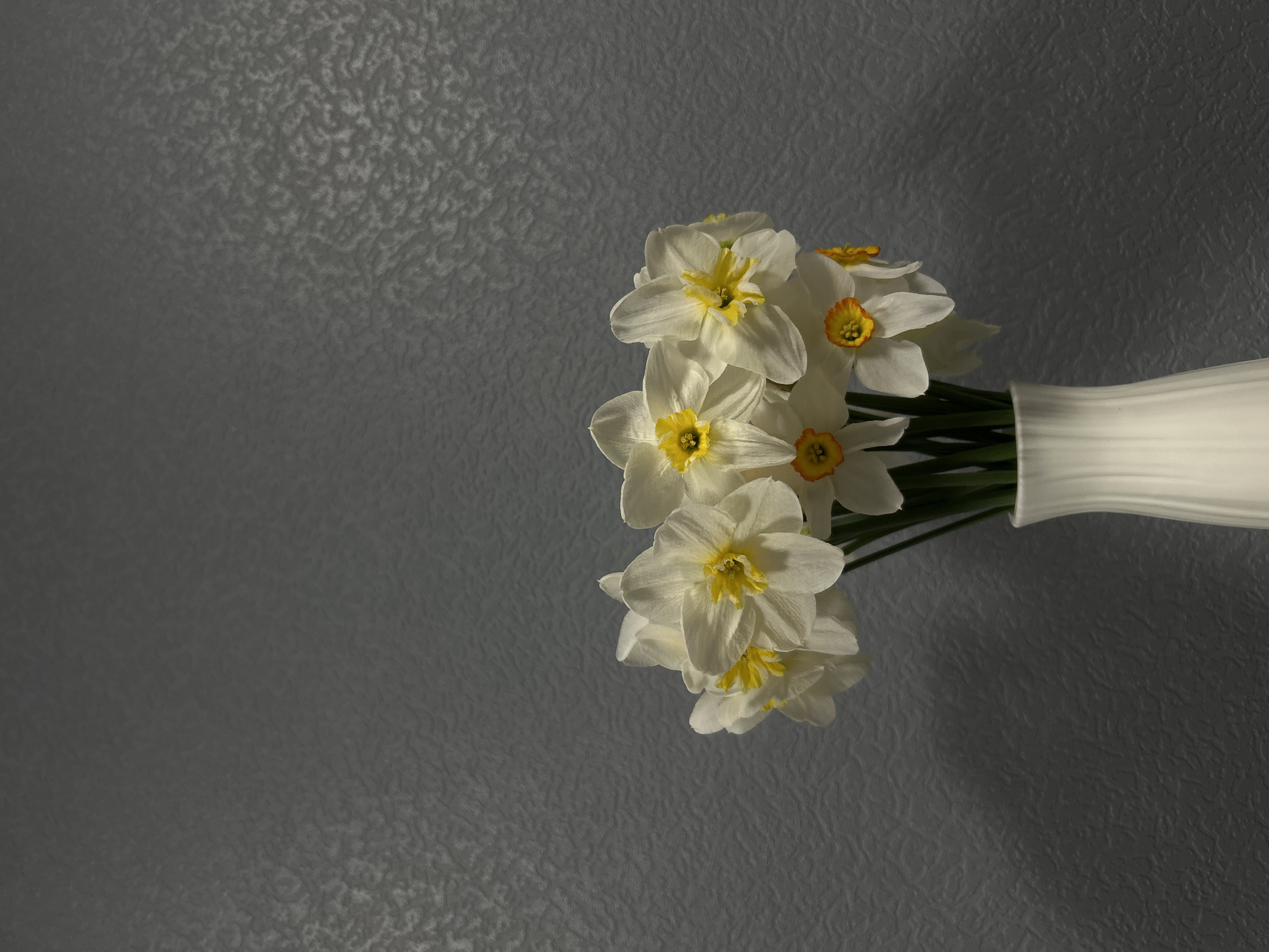 A still life depicts a cluster of white daffodils with yellow and orange centers arranged in a white, cylindrical vase. The vase sits against a textured, grey background. The composition is lit with strong light coming from the upper left, casting a shadow of the vase and flowers on the background. The scene is absent of people. The location is unknown and cannot be determined from the image.