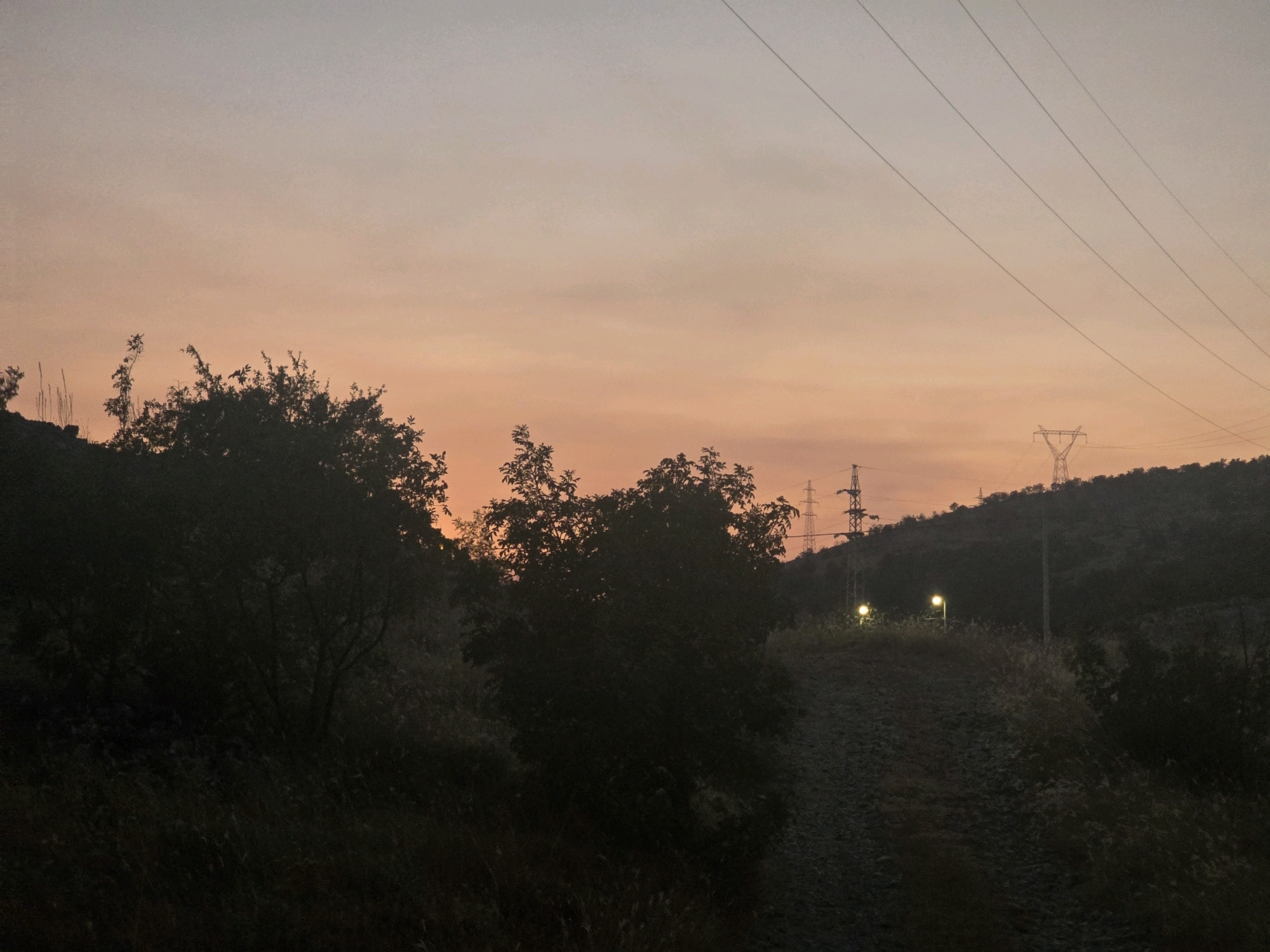 The image depicts a twilight scene in Podgorica, Montenegro, characterized by a gradient sky transitioning from pale gray at the top to soft orange and pink hues near the horizon. Silhouetted against this sky are several power pylons and transmission lines stretching across the upper portion of the frame. In the foreground, dark, bushy trees and scrubby vegetation dominate the lower half. A dirt or gravel path winds its way up a gentle slope, illuminated by two streetlights positioned on either side of the path. The overall impression is one of a rural or semi-rural area on the outskirts of the city, with man-made infrastructure (power lines and lights) contrasting with the natural landscape. No people are visible in the scene.