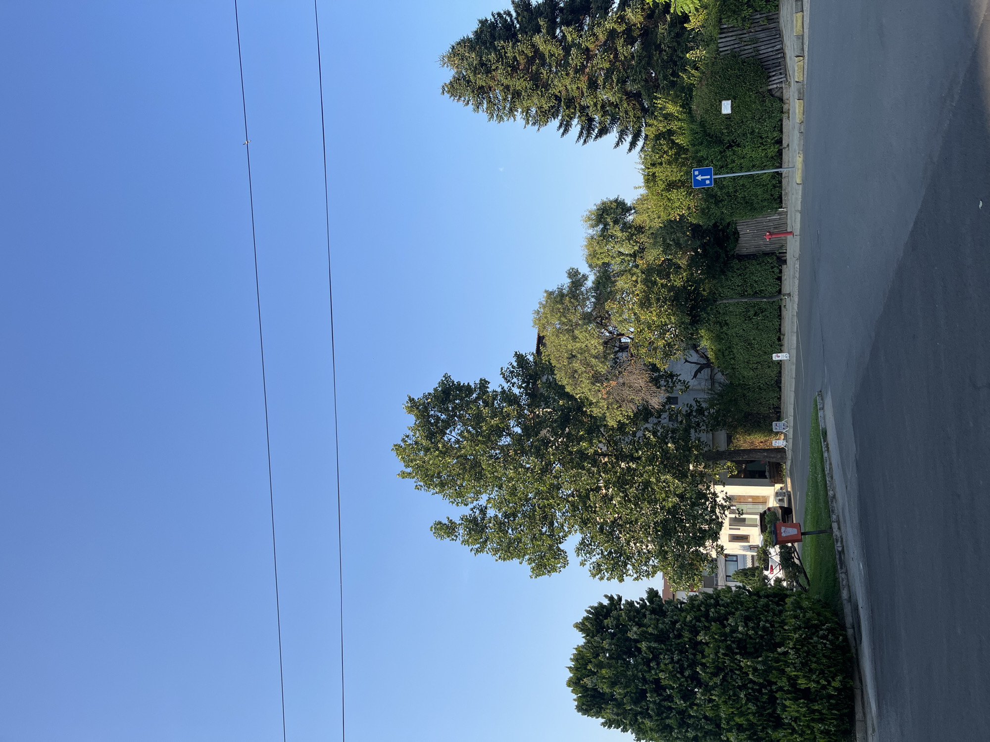 The image shows a street scene in Obzor, Bulgaria, on a clear, sunny day. The perspective is from a slightly elevated position, looking down a paved road. On the right side of the road, there is a sidewalk bordered by a curb. Beyond the sidewalk, lush green bushes and trees line the street, with some taller trees reaching into the clear blue sky.
In the background, a building with multiple windows is visible, partially obscured by the foliage. Several power lines stretch across the upper portion of the frame, against the bright blue sky.
Notable details include a blue road sign with a white arrow pointing to the left, indicating a directional instruction. A red fire hydrant stands near the sidewalk, and a small orange trash receptacle is visible further down the road. The overall impression is one of a quiet, residential street bathed in sunlight. The time of day appears to be late afternoon or early evening, given the angle of the sunlight. There are no people visible in the image.