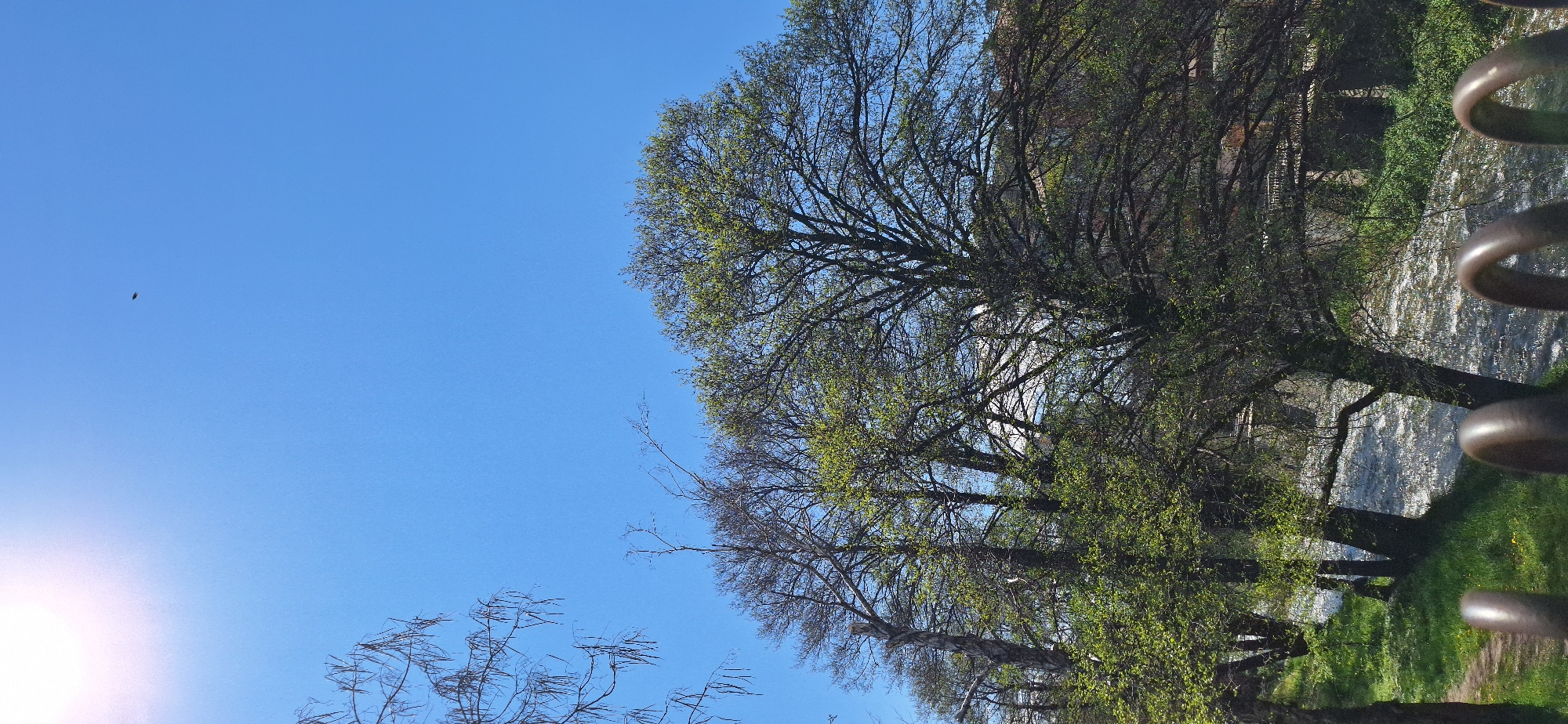 The image depicts a scene in Blagoevgrad, Bulgaria, with a view of trees lining the Bistritsa River. The sky is clear and blue. The trees are just beginning to sprout new green leaves. A riverbank is visible, along with some metal objects in the right of the frame.