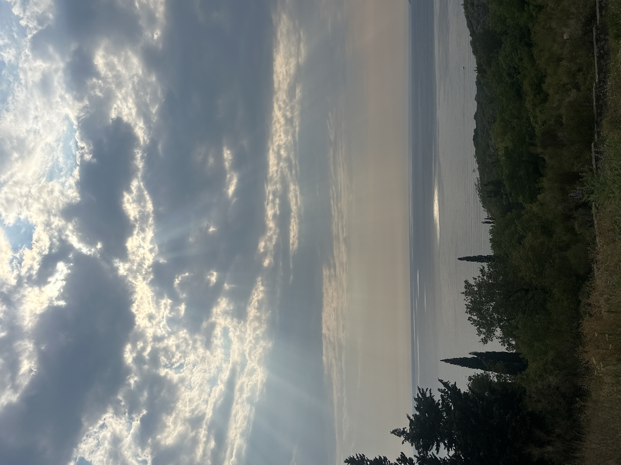The image depicts a panoramic view of the Adriatic Sea, seen from an elevated position in Drobnići, Montenegro. The sky is dramatic, with large, textured clouds partially obscuring the sun, allowing shafts of light to pierce through and illuminate the water. The sea itself is calm, with a shimmering reflection of sunlight creating a bright band across its surface. In the foreground, a dense, verdant forest covers a hillside, with various trees, including tall cypresses, dotting the landscape. The foliage transitions to dry grass and a low stone wall in the immediate foreground. There are no people or discernible objects in motion within the frame. The overall impression is one of natural beauty and a serene, somewhat overcast, coastal environment.