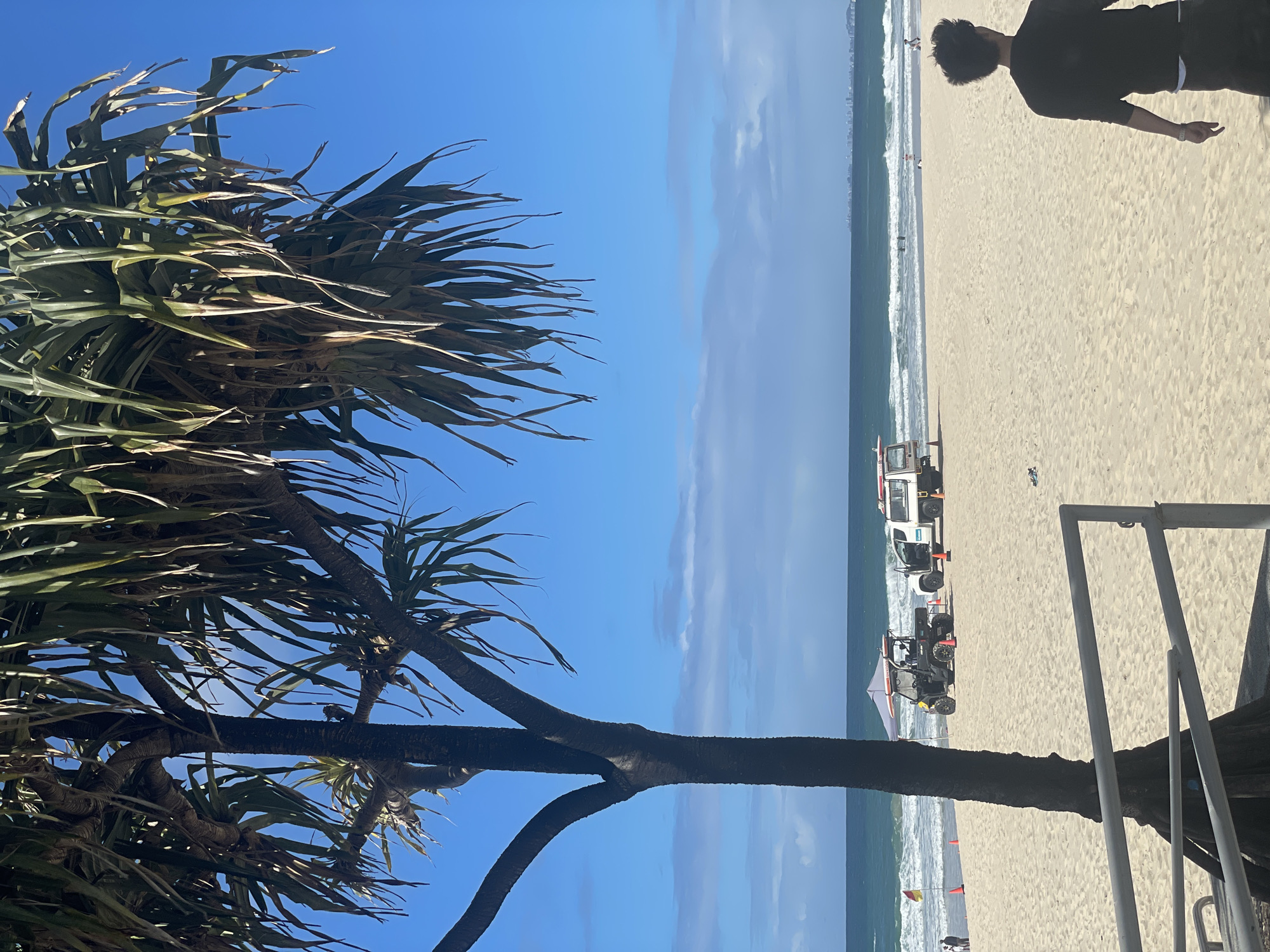 The image shows a beach scene in Surfers Paradise, Australia, on a bright, sunny day. In the foreground, a dark-barked tree with long, frond-like leaves partially obscures the view of the sand and ocean. A white metal railing runs horizontally across the bottom of the image.
The sand is light in color and appears relatively flat, with some footprints visible. Further back on the beach, there are two vehicles and an umbrella. One vehicle is a dark-colored all-terrain vehicle (ATV) with a canopy, and the other is a white utility truck with an open back. Orange traffic cones are placed around the vehicles. To the left, a red and yellow beach safety flag is planted in the sand, and two people are standing near it.
The ocean is a deep blue-green, with moderate waves breaking on the shore. Several people are visible in the water, either swimming or bodyboarding. In the distance, a faint skyline of buildings can be seen along the coast.
On the right side of the image, a person wearing a dark shirt and dark pants is walking away from the camera, towards the beach and ocean. The sky is a clear blue with scattered, wispy clouds. The overall impression is a typical day at a popular Australian beach.