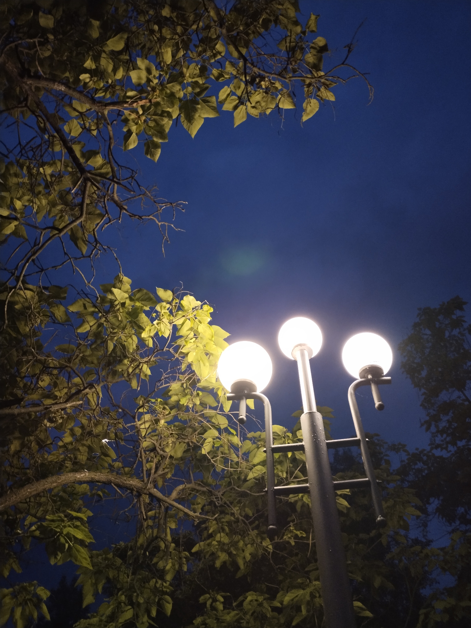 An upward-facing, low-light photograph captured at night in Horishni Plavni, Ukraine, displays a streetlamp partially obscured by dense tree foliage against a deep blue sky. A dark gray streetlamp occupies the lower-center, featuring three circular, brightly illuminated white globes mounted on extending arms. The lamp's central pole is vertically oriented and includes visible horizontal bracing. Dense tree branches, many bare, with clusters of green leaves, frame the upper and left portions of the image. The streetlamp's illumination casts a yellowish-green glow on the nearest leaves, while more distant foliage on the right appears silhouetted and darker. The upper background reveals a deep, dark blue night sky, devoid of celestial bodies or significant cloud cover. A faint green lens flare is visible in the upper-left quadrant, originating from the streetlamp's light source. No individuals are present in the scene.
