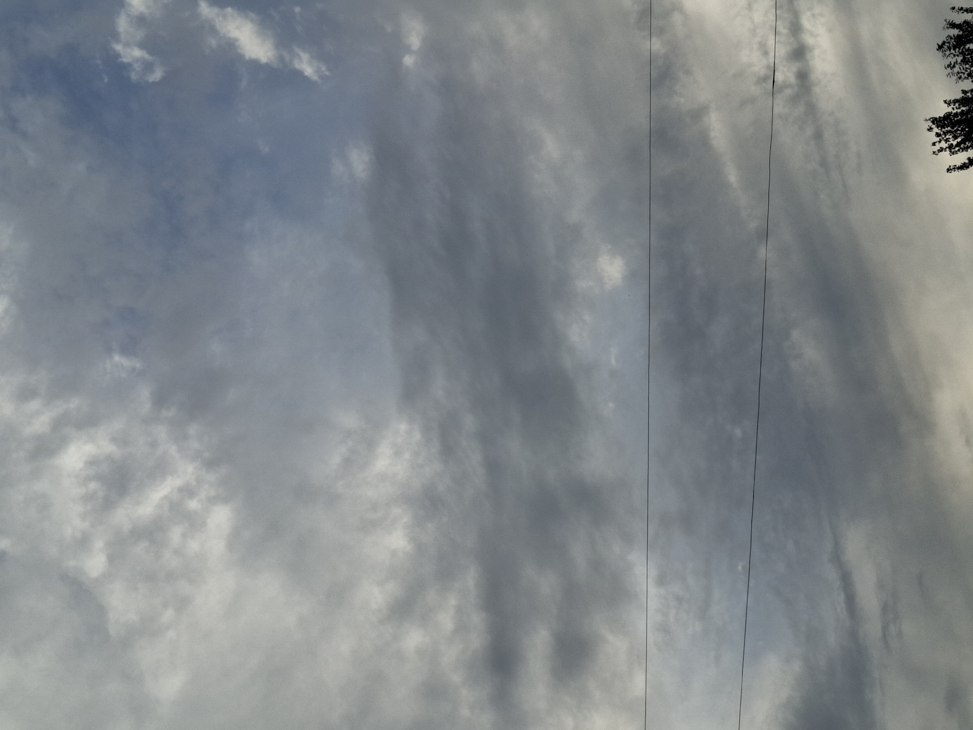 The image shows a cloudy sky with two horizontal power lines stretching across the frame. A dark tree silhouette is visible at the bottom right corner of the image. The overall impression is of an overcast day in a rural or semi-rural setting, possibly in Jeti-Ögüz, Kyrgyzstan, given the context. There are no people or discernable actions taking place in the scene. The environment is dominated by the sky and the man-made infrastructure of the power lines.