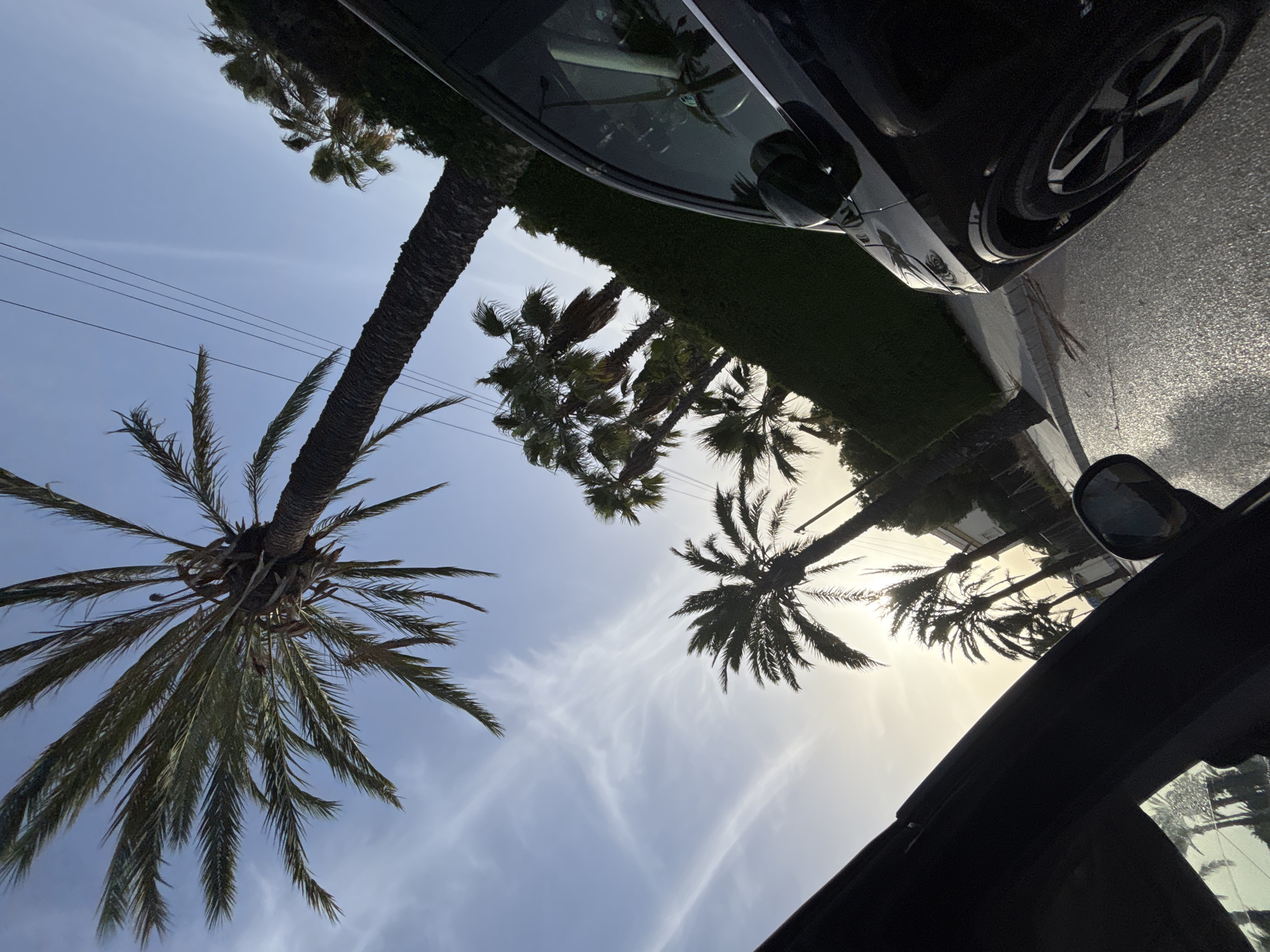 The image shows a street scene in Orihuela, Spain, with several palm trees and a black car. The perspective is from inside another vehicle, looking out. The sky is blue with some wispy clouds, and the sun is low, casting a warm light. The palm trees are tall and slender, with their fronds spread out against the sky. The black car is parked on the right side of the road, and its reflection can be seen in the wet pavement. A manicured hedge runs along the sidewalk. The overall impression is of a sunny, warm day in a coastal city.