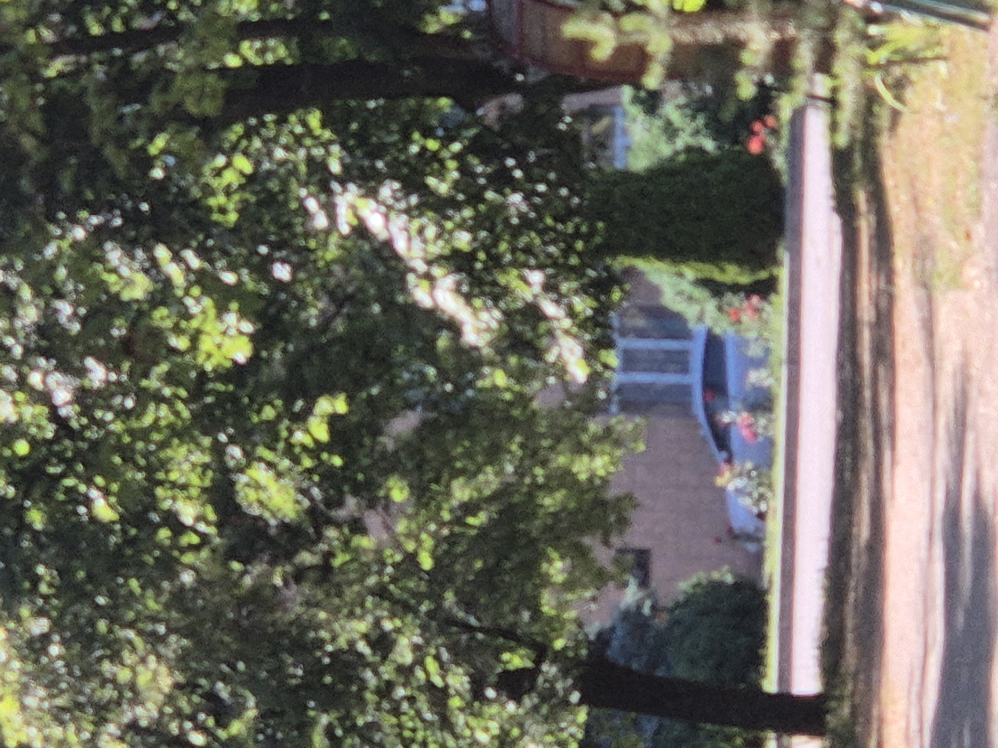 The image shows a blurred view of trees with dappled sunlight filtering through their leaves. In the background, a building with a reddish-brown facade and a light-colored vertical element, possibly a column or pillar, is visible. There are hints of greenery and floral elements in the background, suggesting a garden or outdoor setting. The overall impression is a somewhat hazy, natural scene with architectural elements. The low resolution and blur make it difficult to discern specific details about people or objects. There is no visible text in the image. Given the location context of Sozonivka, Ukraine, this could be a scene from a residential area or park in the region, likely captured during daylight hours given the sunlight.