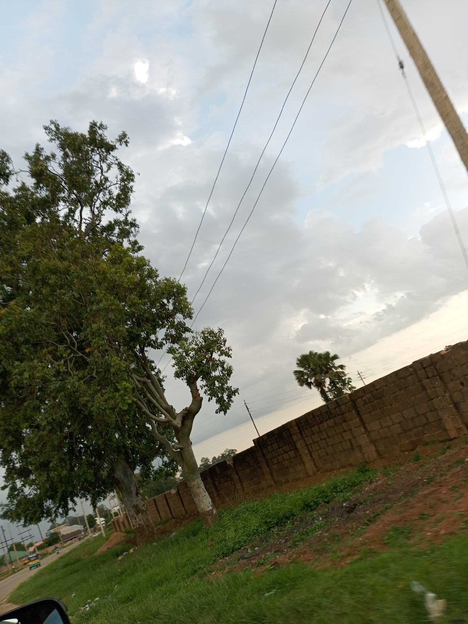 The image depicts a street scene in Bukuru, Nigeria. The foreground shows the side mirror of a vehicle, indicating the perspective is from inside a moving car. To the right of the road, a tall, rough-textured concrete block wall runs horizontally across the frame, partially obscured by lush green grass growing on a sloping embankment. Behind the wall, a fan palm tree stands out against a cloudy sky.
Dominating the left side of the image are two large trees with dense green foliage. The larger tree, on the far left, has a thick, gnarled trunk and sprawling branches. The second tree, situated closer to the wall, is smaller with a more slender, lighter-colored trunk and sparser leaves. Power lines are visible stretching across the sky, supported by poles that are partially visible.
In the background, a road can be seen with a few vehicles, including what appears to be a three-wheeled auto-rickshaw. Buildings are also visible in the distance. The sky is overcast with dramatic, textured clouds, suggesting either approaching rain or the aftermath of a storm. The overall impression is that of a typical roadside view in a Nigerian city.