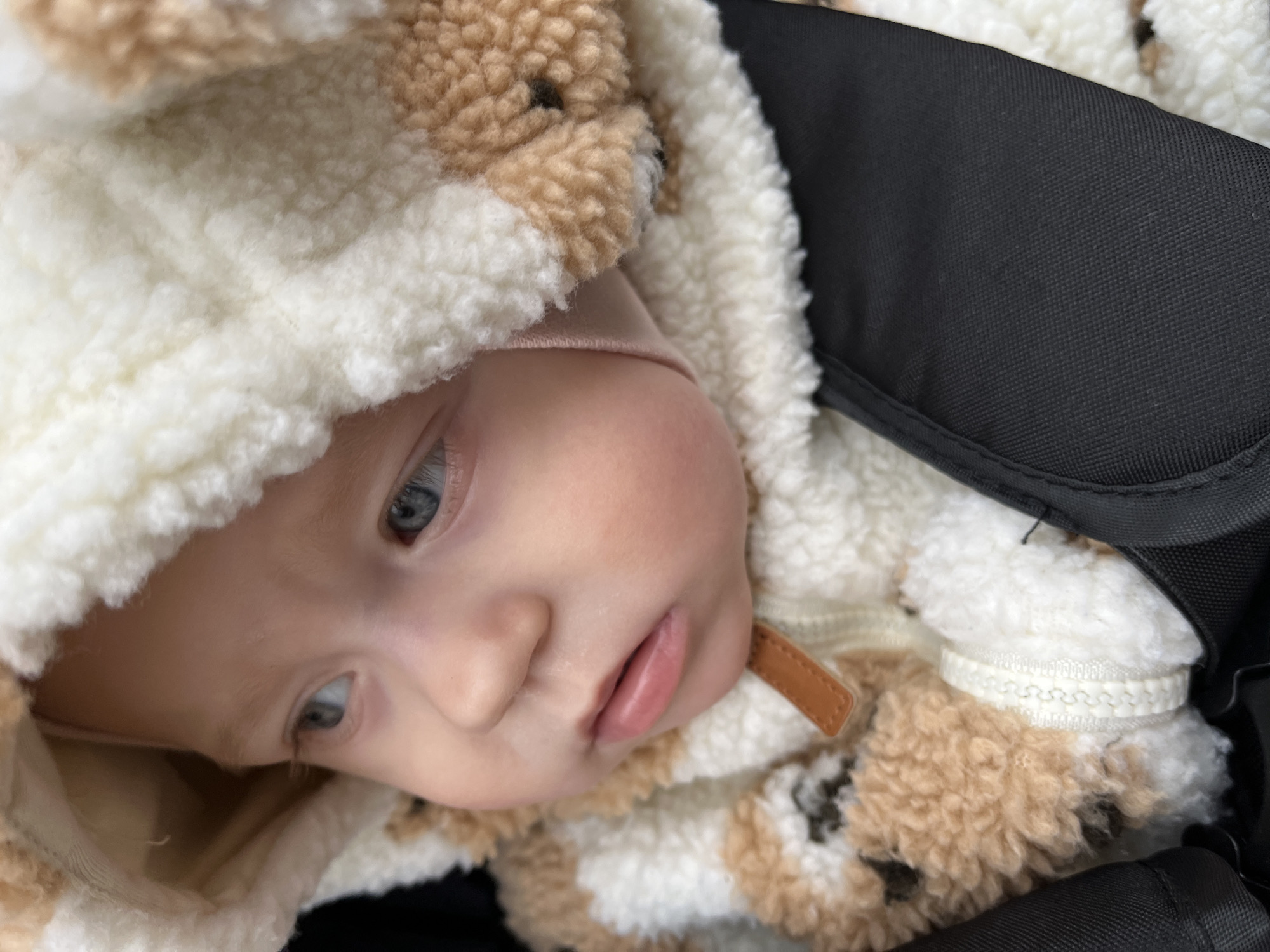 The image captures a close-up, high-angle portrait of a baby bundled in warm clothing, likely resting or observing from within a stroller or carrier. The baby's head and upper torso dominate the frame, with their gaze directed slightly upwards and to the left.
The central subject is a baby with fair skin, striking light blue eyes, and slightly parted lips, giving them a calm, perhaps contemplative expression. A soft, light pink garment, possibly an inner hat or clothing layer, is visible against their skin beneath the main outerwear.
The baby is wearing a thick, textured, and very warm suit or jacket. This outerwear is predominantly white and light brown, arranged in irregular patches, resembling the soft, shaggy fur of a teddy bear. Small, brown, rounded ears are discernible on the hood, reinforcing the animal theme. A small, light brown, faux-leather strap with subtle stitching is visible on the right side of the suit near the baby's chin.
The baby is nestled into the black, finely textured fabric of what appears to be a stroller or car seat, which forms the background. The material suggests a durable, weather-resistant lining. The warm, plush attire implies cool or cold weather conditions, ensuring the baby's comfort.
No specific activity is depicted other than the baby resting or gently observing. There are no direct cues for the time of day or specific location within the image, though the provided context places it in Chaikovsky, Russia. No visible text is present.