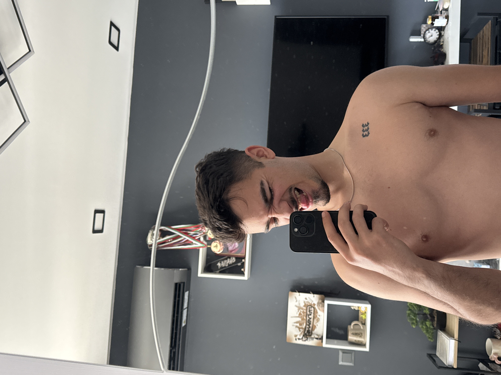 A young man takes a mirror selfie in what appears to be an apartment in Sofia, Bulgaria. He is shirtless, displaying a tattoo of "333" on his right shoulder. His dark hair is styled, and he has a short beard. He holds a black smartphone in his right hand, pointed towards the mirror, and is making a playful, silly face with his tongue slightly out.
The reflection in the mirror shows an indoor setting with contemporary design. The walls are segmented into white and dark grey sections. A black flat-screen television is mounted on the dark grey wall. Below the TV, a white shelf holds what looks like small decorative items or mugs. Further down, another white framed shelf contains a small green plant. To the left, an air conditioner unit is visible. Above it, a white display frame showcases several medals or awards, suggesting personal achievements. A square light fixture is visible on the white ceiling. The overall impression is a personal and relaxed moment captured in a modern home environment.