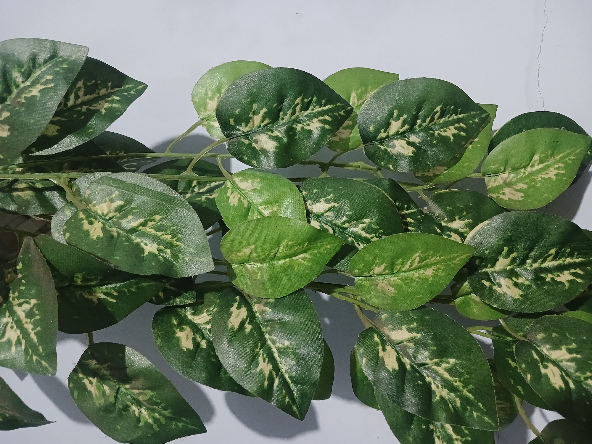 The image shows a close-up of a hanging plant with large, ovate leaves that have a variegated pattern of dark green and lighter yellow-green. The leaves are smooth and appear to be artificial. The plant is hanging against a plain white wall, which shows a subtle shadow cast by the leaves. There is a faint, thin crack visible in the lower right portion of the wall. The scene is indoors and does not depict any specific urban or natural landmarks of Randuagung, Indonesia. There are no people or animals present. The lighting is even, suggesting an artificial light source.