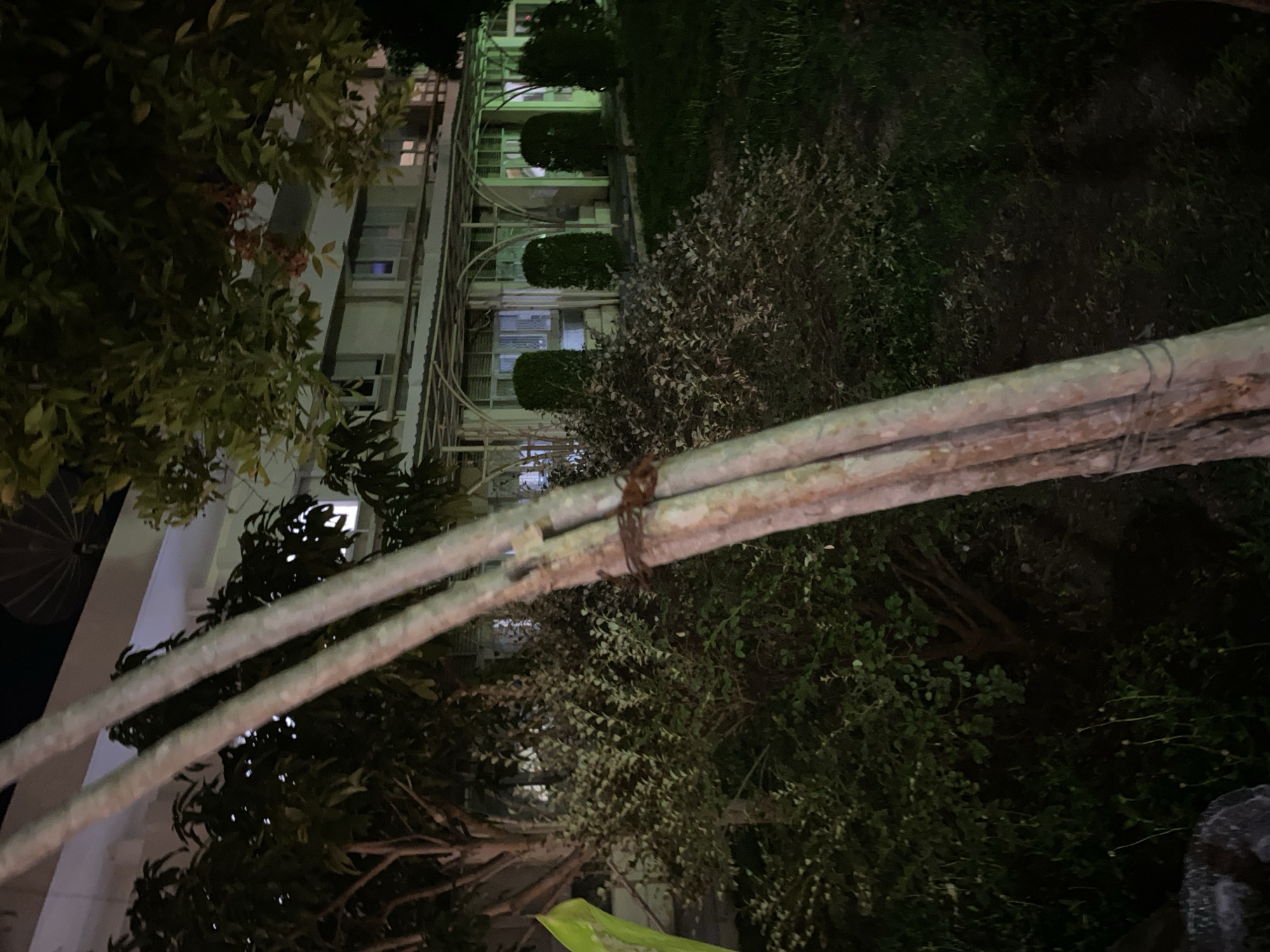 A nighttime exterior shot shows a building with multiple windows and an arched walkway in front. Trees and bushes are visible in the foreground and surrounding the building. Two large wooden poles are tied together with wire and are in the immediate foreground, obscuring part of the scene. The lighting is dim, suggesting it is nighttime, with some interior lights illuminating the building and exterior lights casting a green hue on the walkway. The ground appears to be grass and dirt. The location is unknown.