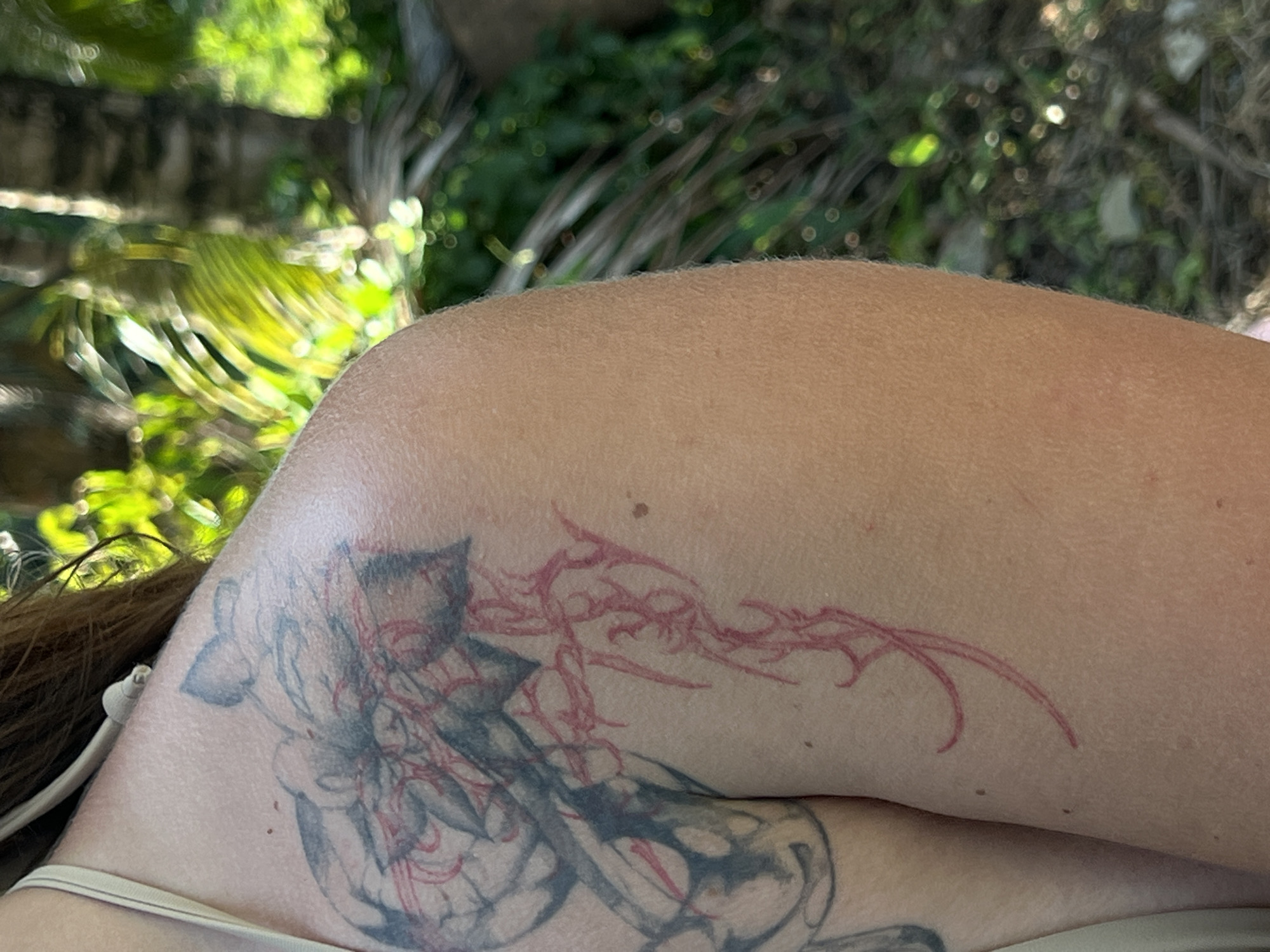 The image shows a close-up of a person's shoulder and upper arm, featuring a tattoo. The tattoo has two distinct parts: a larger, darker design on the upper shoulder, and a thinner, red design that extends down the arm. The person's skin is lightly tanned. The background is blurred and appears to be an outdoor setting with lush green foliage and trees, suggesting a tropical environment. The lighting indicates it is daytime, with sunlight filtering through the leaves. The location in Kerambitan, Indonesia, is not explicitly depicted in the image, but the natural scenery is consistent with a tropical island setting.