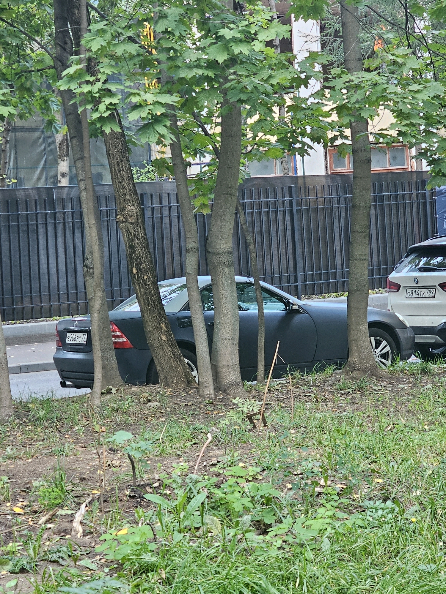 The image shows a matte black car parked on a street in Khimki, Russia, partially obscured by several trees. A white SUV is parked to the right of the black car. The cars are parked behind a black metal fence. The area around the cars is covered in grass and dirt, with some fallen leaves. The background shows a building with windows. The license plate of the black car is visible and reads B206PC77. The license plate of the white SUV is visible and reads 0814TK799. There are no people visible in the image.