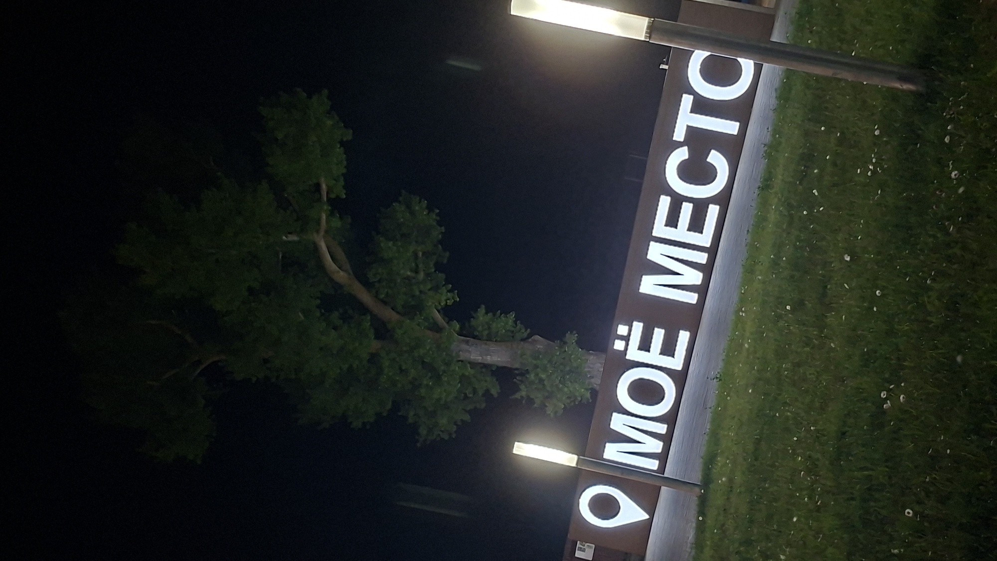 The image captures a nighttime scene in the city of Myadzyel, Belarus. The focal point is a large, illuminated sign with white, sans-serif Cyrillic lettering spelling out "МОЁ МЕСТО," which translates to "MY PLACE." To the left of the sign, a stylized white location marker icon is visible. The sign itself is mounted on a dark brown background structure.
In front of the sign, a thin, vertical lamppost with a glowing white light emanates from its top. To the left of this lamppost and the sign, another similar lamppost is partially visible, also illuminated.
Behind the sign, a prominent, mature tree with dense green foliage stands against a dark, black sky. The tree's branches spread wide, with some illuminated by the artificial light from the sign and lampposts.
The foreground consists of a grassy area, appearing somewhat uneven and sparsely dotted with white elements, possibly dandelions or other small white flowers. The ground surface beneath the sign appears to be paved. The overall lighting suggests artificial illumination against a dark natural environment.