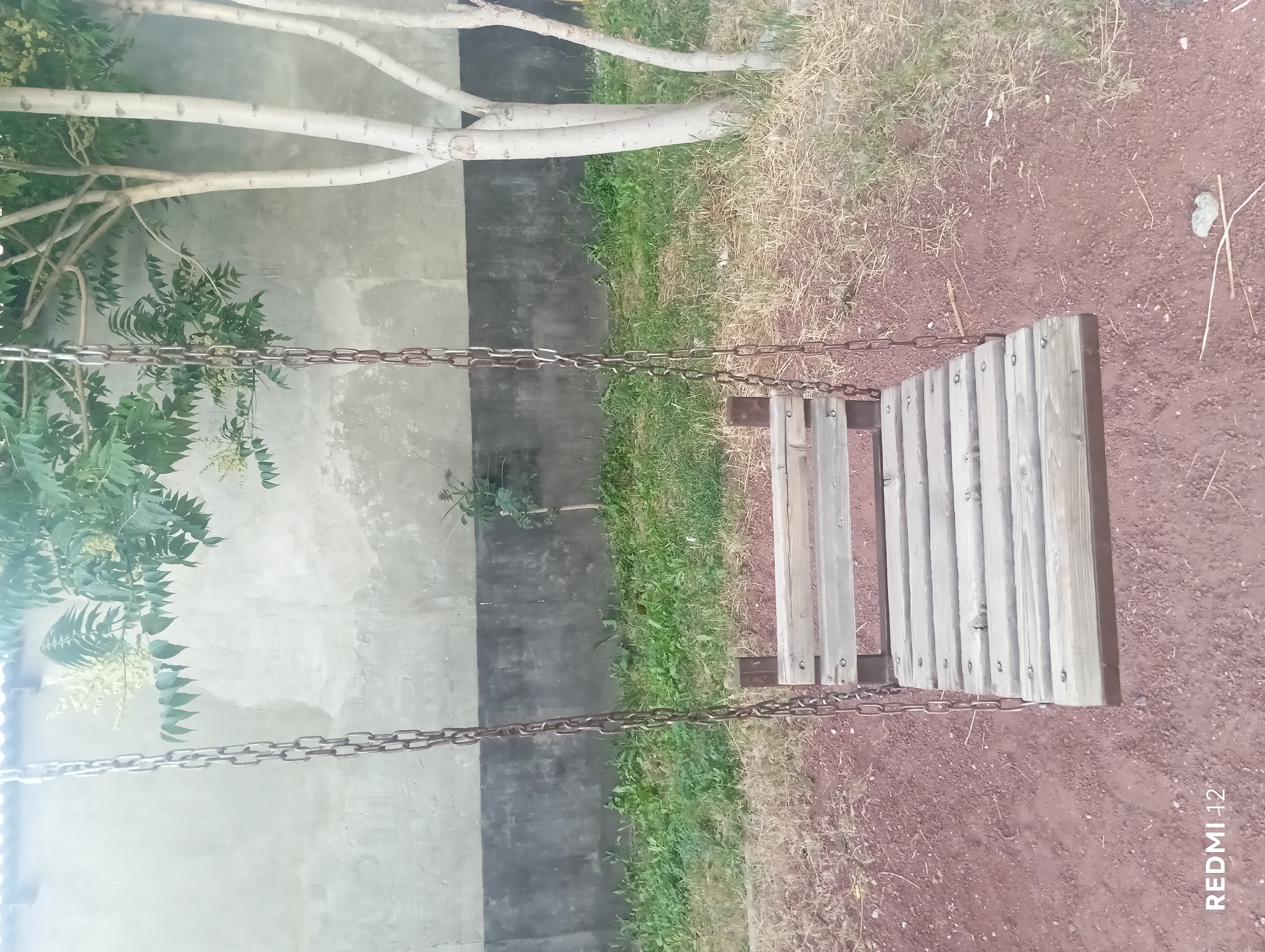 A wooden swing hangs by chains in front of a textured, light-colored wall. The swing seat is made of several parallel wooden planks. To the right of the swing, the trunks of several slender, white-barked trees are visible, with green foliage overhead. A patch of green grass and dry brush is on the ground, and the area in front of the swing is covered with reddish-brown soil and small stones. The overall scene suggests an outdoor recreational area.