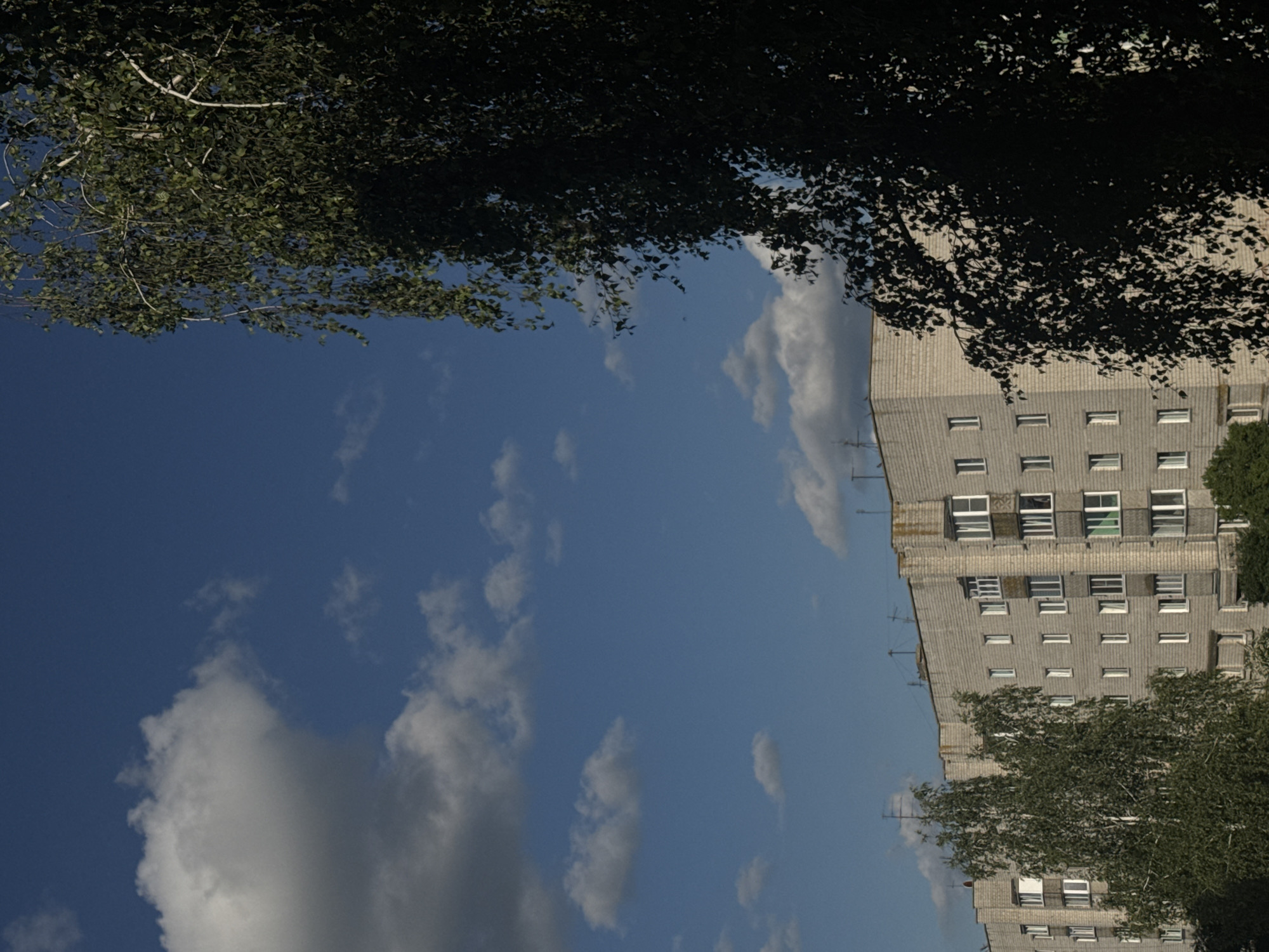 The image depicts a daytime scene in the Яромінскі сельскі Савет, Belarus, focusing on a Soviet-era apartment building against a backdrop of a blue sky with scattered white clouds. The apartment building is a multi-story structure constructed from light-colored brick, with numerous windows, some of which are recessed balconies. Antennas are visible on the rooftop. In the foreground and to the right, the dense foliage of a deciduous tree, possibly birch, partially obscures the view of the building and the sky, creating a contrast between the natural element and the urban architecture. The lighting suggests it is daytime, with shadows cast by the tree.