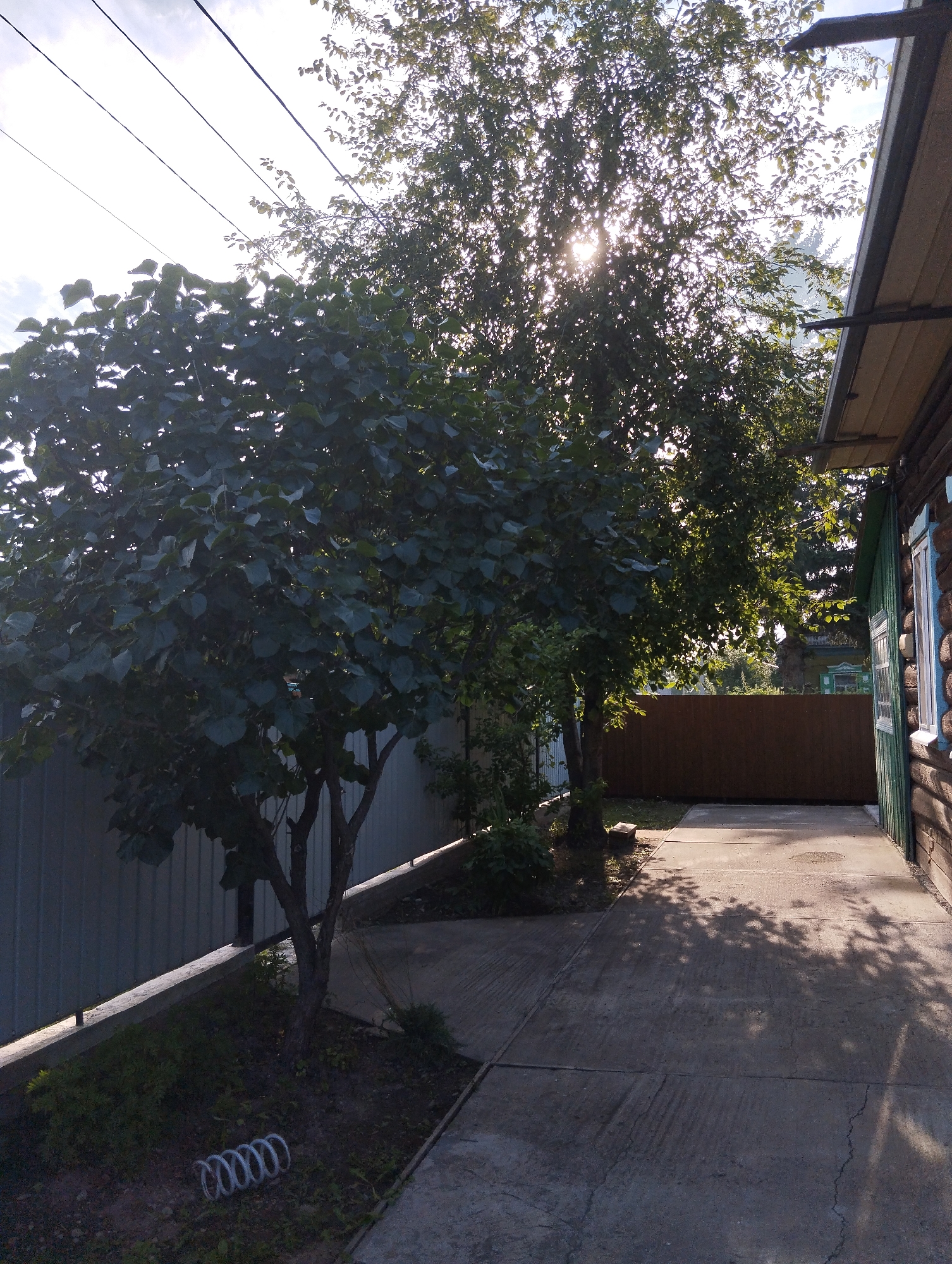 The image shows a backyard area with a concrete pathway leading to a wooden house on the right. Two trees are prominently featured in the foreground. The tree on the left is full of dark green leaves, while the tree on the right has sparser foliage, allowing sunlight to filter through. Overhead, several power lines are visible against a bright sky. The house has a wooden exterior with a green-painted section and a window with blue shutters. A brown wooden fence runs along the back of the property, separating it from other areas. In the lower left corner, a white coiled object, possibly a spring, is resting on the ground near some vegetation. The overall scene depicts a somewhat rustic outdoor setting on a sunny day.