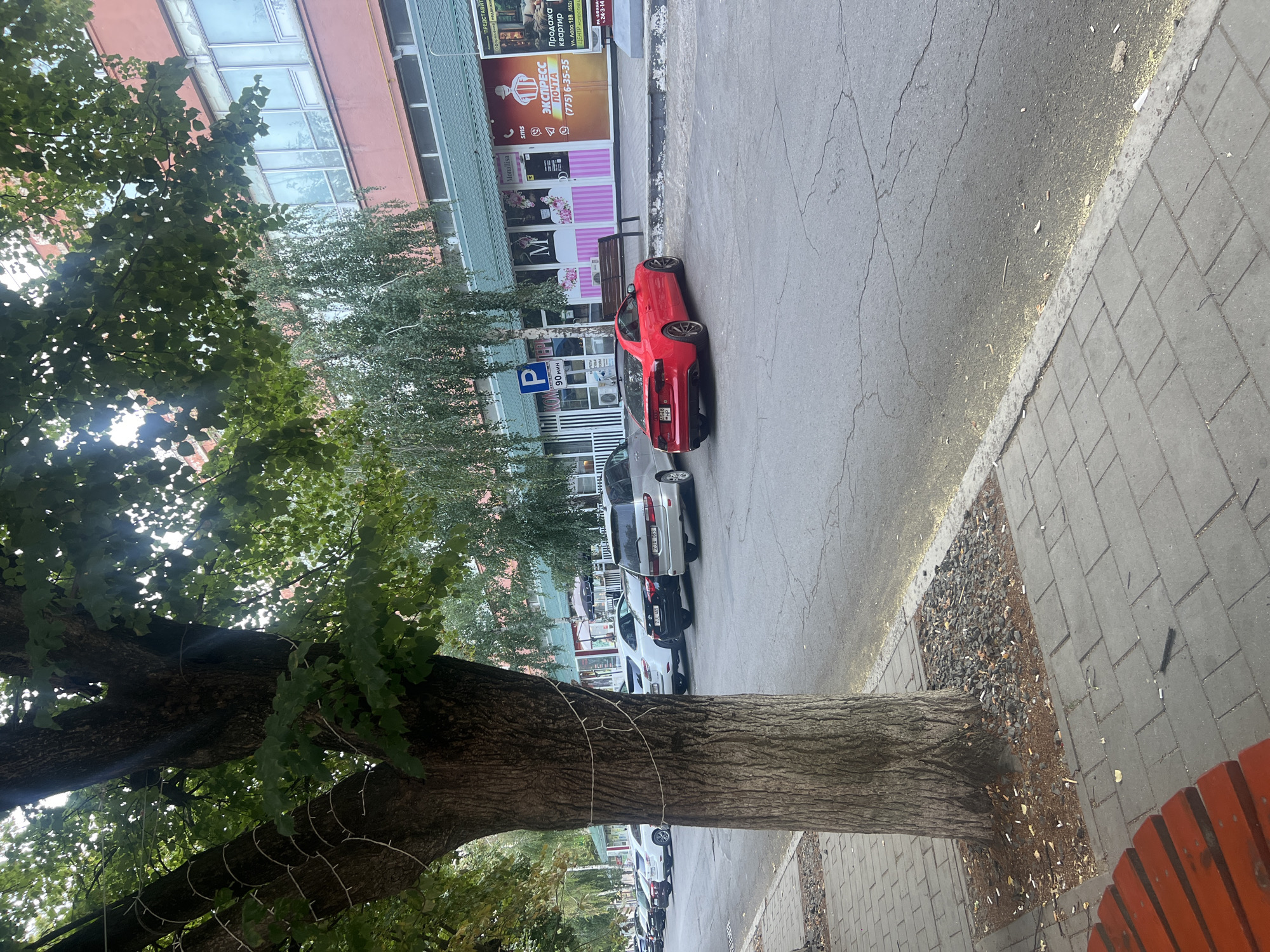 The image depicts a street scene in Bender, Moldova, with a focus on a row of parked cars and storefronts. A large tree with string lights wrapped around its trunk is prominent in the foreground on the left. A red sports car is parked in front of a building with several businesses. One business appears to be a post office, indicated by signage with the words "ЭКСПРЕСС ПОЧТА" (Express Mail) and a phone number. Other shops have signage such as "Monalisa". A blue parking sign with "P" and "90 мин" (90 minutes) is visible. The sidewalk is paved with grey bricks, and the street is asphalt with visible cracks. There are several other cars parked along the street, including a silver minivan and a white sedan. The overall environment appears to be an urban commercial area during daylight hours.