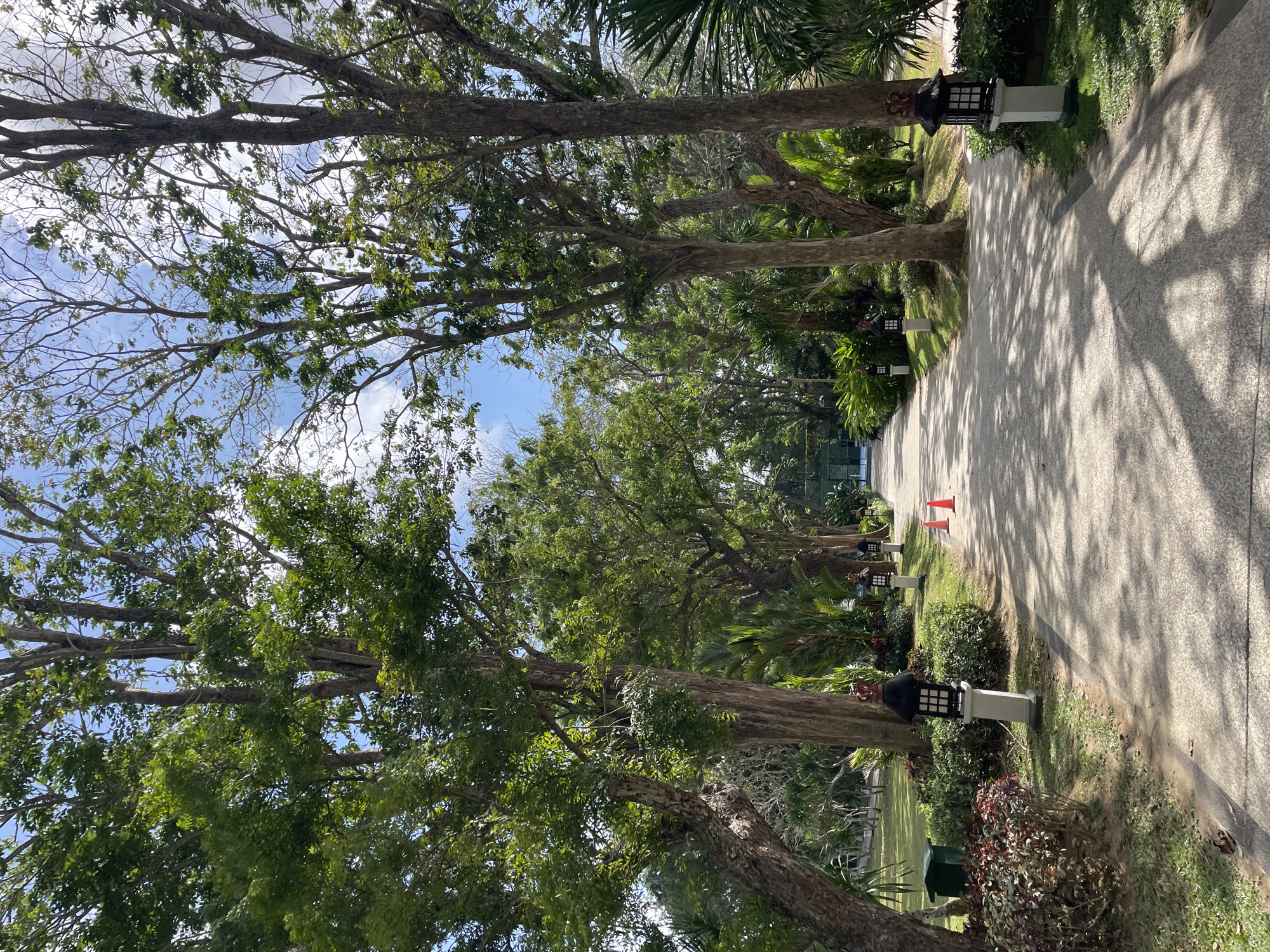 A paved pathway lined with trees and landscaping stretches into the distance, creating a symmetrical scene. On either side of the pathway, decorative lanterns on white pedestals illuminate the way, interspersed with vibrant green bushes. Two bright orange traffic cones are placed on the pathway, suggesting a temporary diversion or event. In the background, lush greenery and a hint of a blue sky with scattered clouds complete the serene setting. The scene is set in a tropical environment, likely a park or resort, given the well-maintained gardens and the presence of trees that are common in the region. While the exact location in Kuta Selatan, Indonesia is not explicitly stated, the visual cues suggest a place that embraces natural beauty and outdoor leisure.