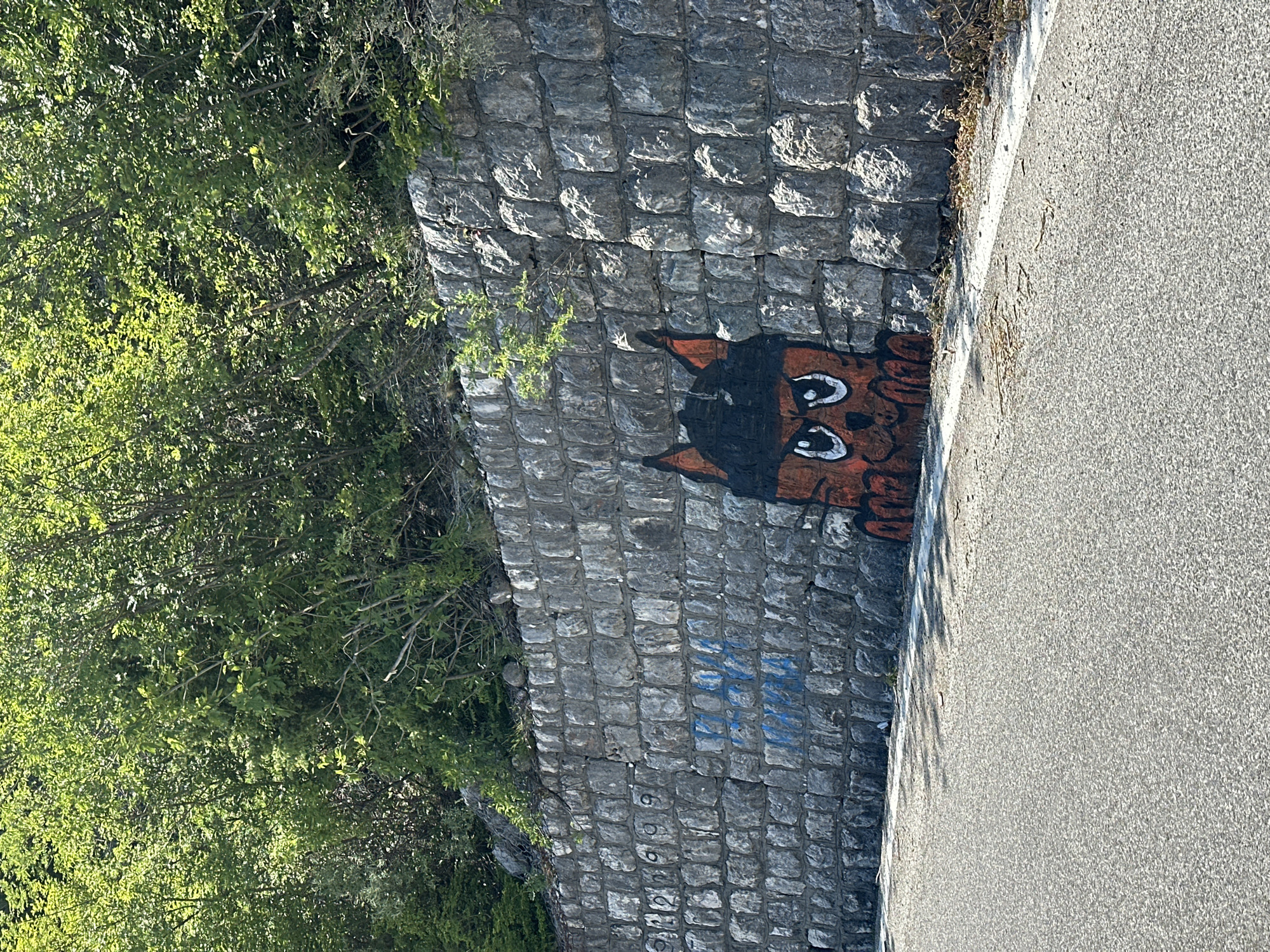 A stone wall runs alongside an asphalt road in Bukovik, Montenegro. Green trees and bushes grow on the left side of the wall. Graffiti, depicting an animal, possibly a cat or a fox, is painted on the wall near the roadside. The image is taken outdoors during daylight.