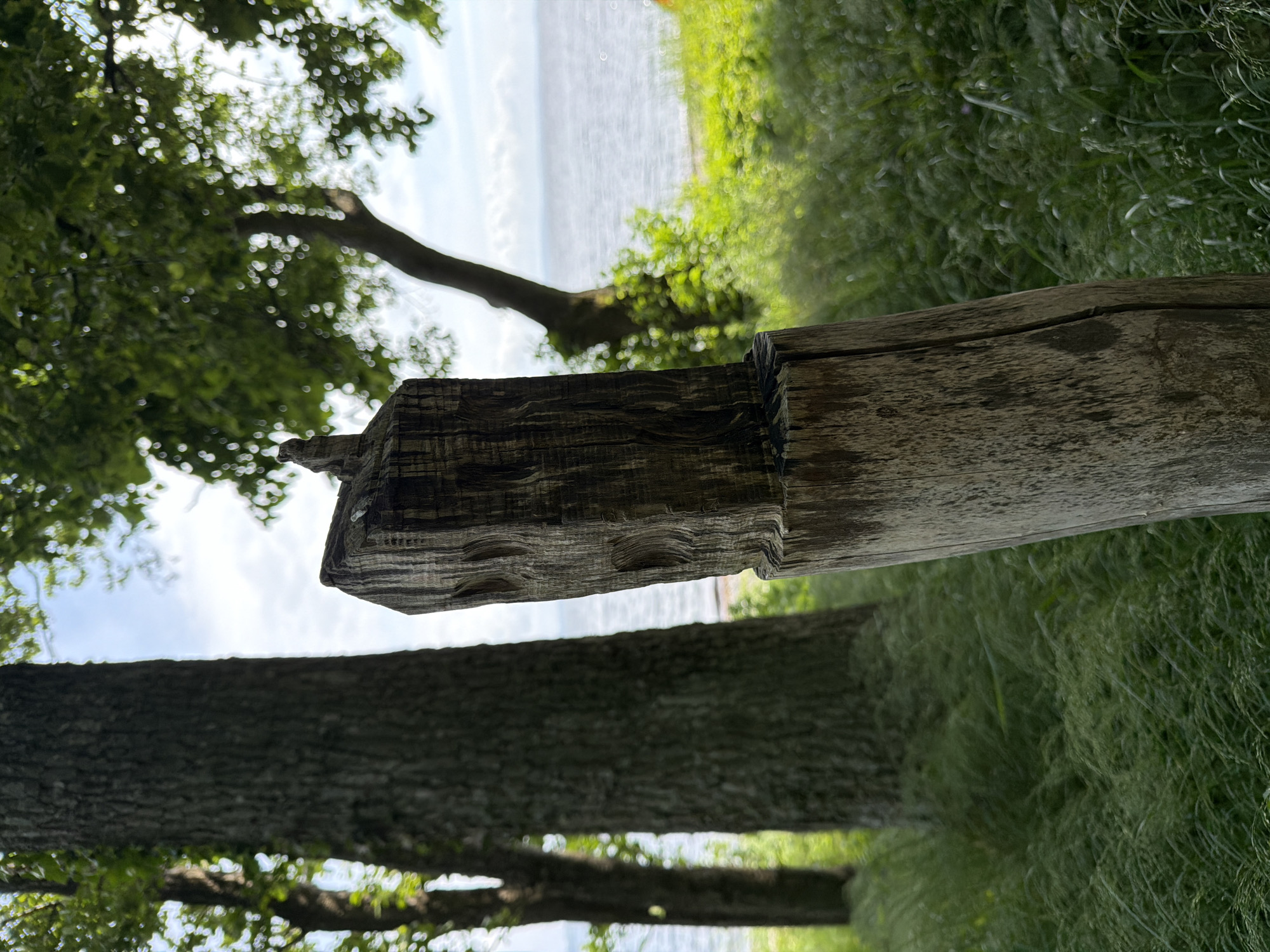 This image captures a static outdoor scene in Horten, Norway, looking towards a body of water, likely the Oslofjord. The primary subject in the foreground is a weathered, upright wooden post positioned slightly off-center to the right, showing signs of aging, with visible cracks and grain. The top section of the post is darker, appearing charred or stained, and is roughly carved with multiple distinct, deep, curved indentations and vertical striations. The lower visible portion of the post is lighter in color. The ground around the post is covered with tall, dense, light green grass, which extends across the lower and middle sections of the image. In the midground, several large tree trunks with dark, textured bark are visible, rendered out of focus. In the background, a wide expanse of choppy, grey-blue water meets a narrow, light-colored shoreline. Above the water, a bright, partly cloudy sky is visible, with scattered white clouds against a light blue backdrop. The upper parts of trees with green foliage frame the sky on the left and right, also out of focus, with sunlight dappling through the leaves. There are no people, animals, or explicit actions depicted in the scene.