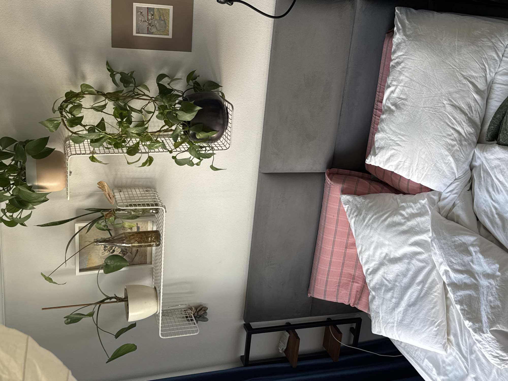 The image shows a bedroom scene with a bed, pillows, and shelves with plants. The bed is covered with white bedding, and two large white pillows are visible. Behind the bed is a grey headboard. On the wall above the bed are two white wire shelves. The left shelf holds a potted plant in a white pot, a framed picture, and a glass bottle with something inside. The right shelf holds a potted plant in a dark pot. Another framed picture is on the wall to the right of the shelves. To the left of the bed is a black metal shelf unit with two wooden shelves. Dark blue curtains are visible on the far left. The overall impression is a room with a minimalist and natural aesthetic. There is no indication that this scene is located in Moscow, Russia.