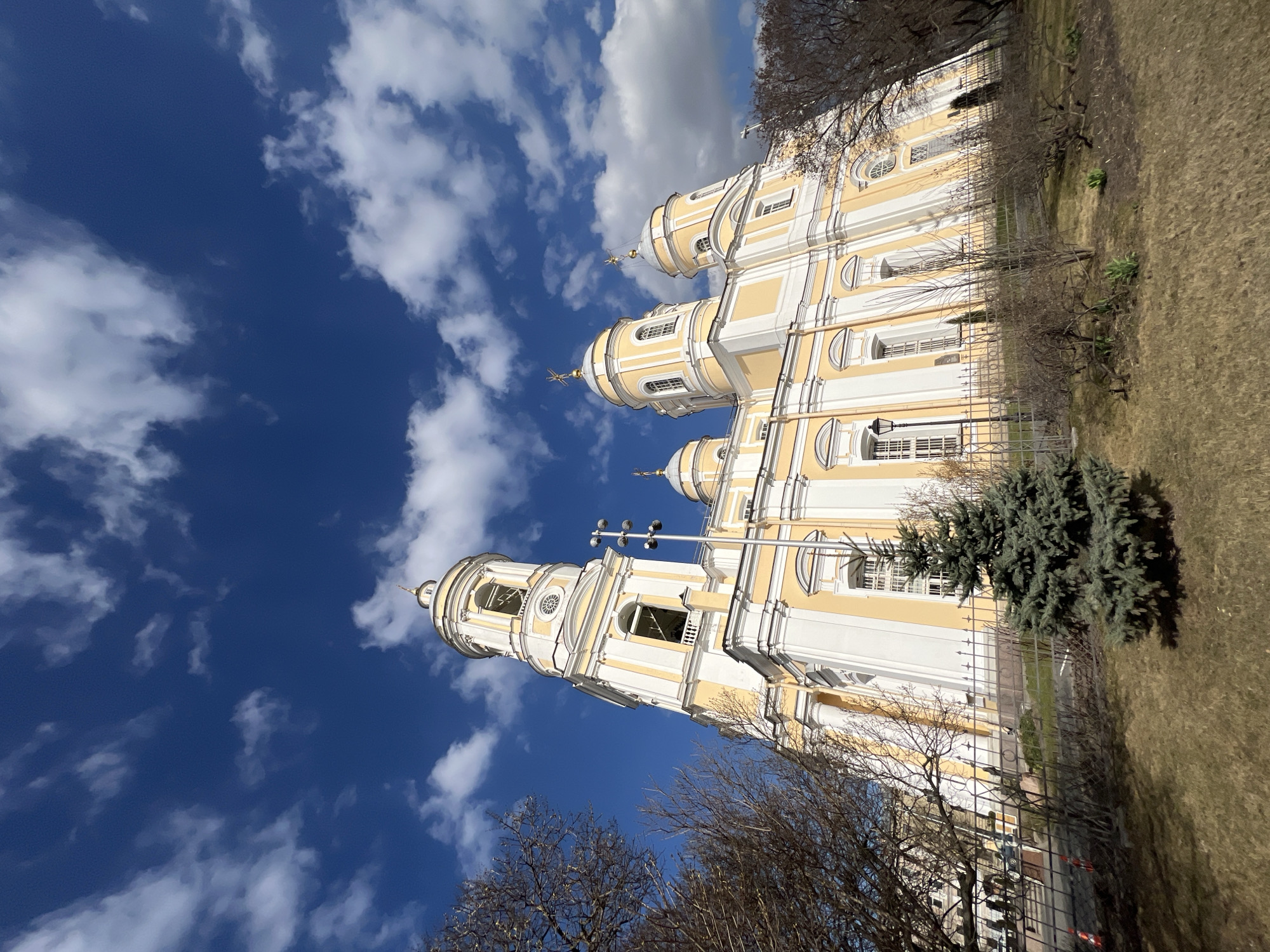 The image depicts the Vladimirskaya Church (also known as Vladimir Cathedral) in Saint Petersburg, Russia, viewed from a low angle on a clear day. The large, predominantly pale yellow and white Baroque-style church features a prominent, multi-tiered bell tower on the left, topped with a smaller dome and spire. The main structure of the church includes multiple light-colored domes, at least five of which are clearly visible, each crowned with a golden spire and Orthodox cross. The facade exhibits numerous arched and rectangular windows with white frames and integrated white pilasters.
In the foreground, a stretch of brownish-green grass covers the ground, with some areas of visible soil. A dark metal fence with decorative elements separates the viewer's perspective from the church grounds. Bare deciduous trees are visible on both the left and right sides of the frame, with a small, conical evergreen tree positioned in front of the fence, slightly left of center. Smaller shrubs and emerging green shoots are scattered across the foreground. Behind the fence on the far left, two orange traffic cones are visible, while a tall pole equipped with multiple lights stands to the right of the bell tower. A black street lamp post is partially visible behind the fence on the right. The sky overhead is a deep blue with scattered white cumulus clouds. No individuals or specific actions are depicted.